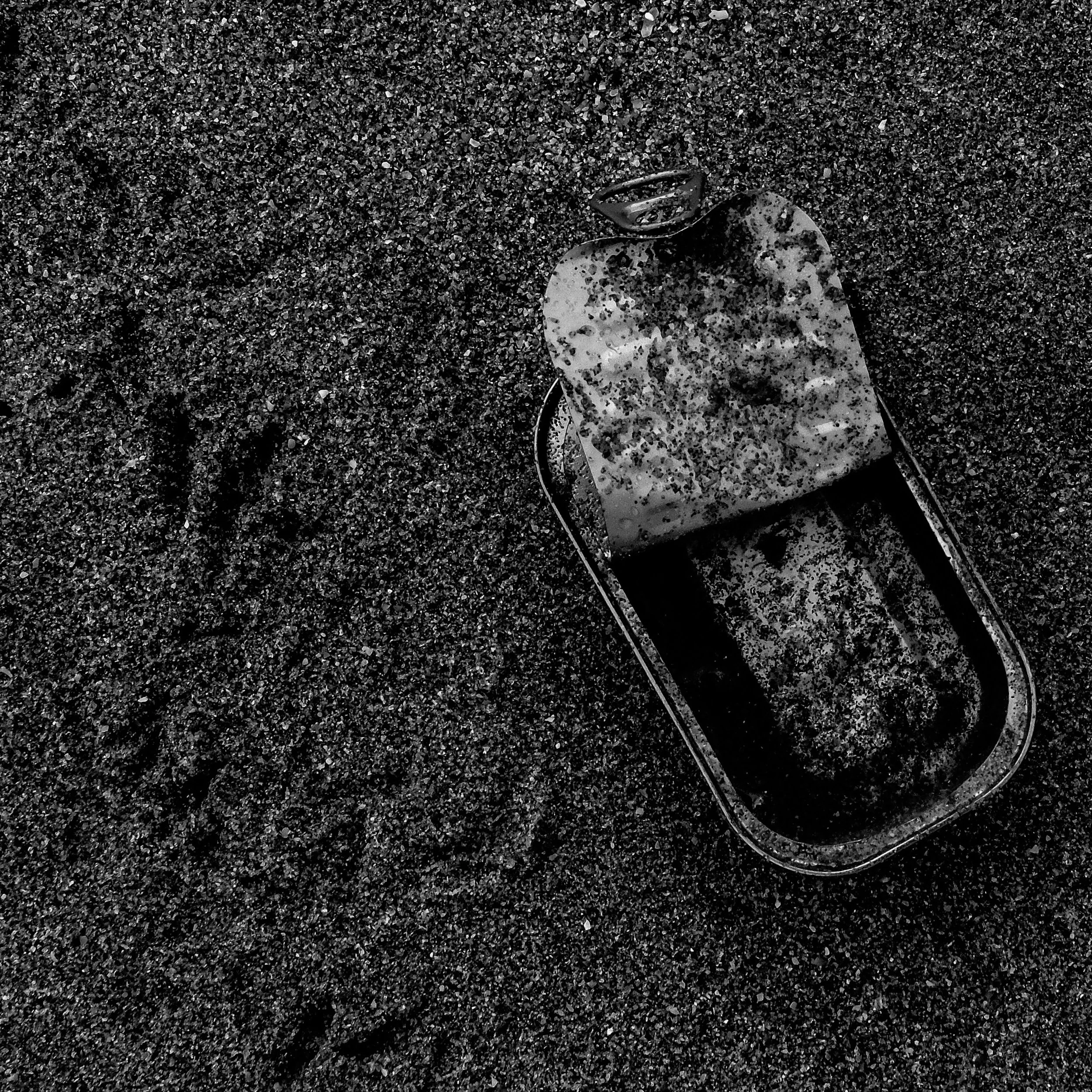 Beach Walk-10.jpg