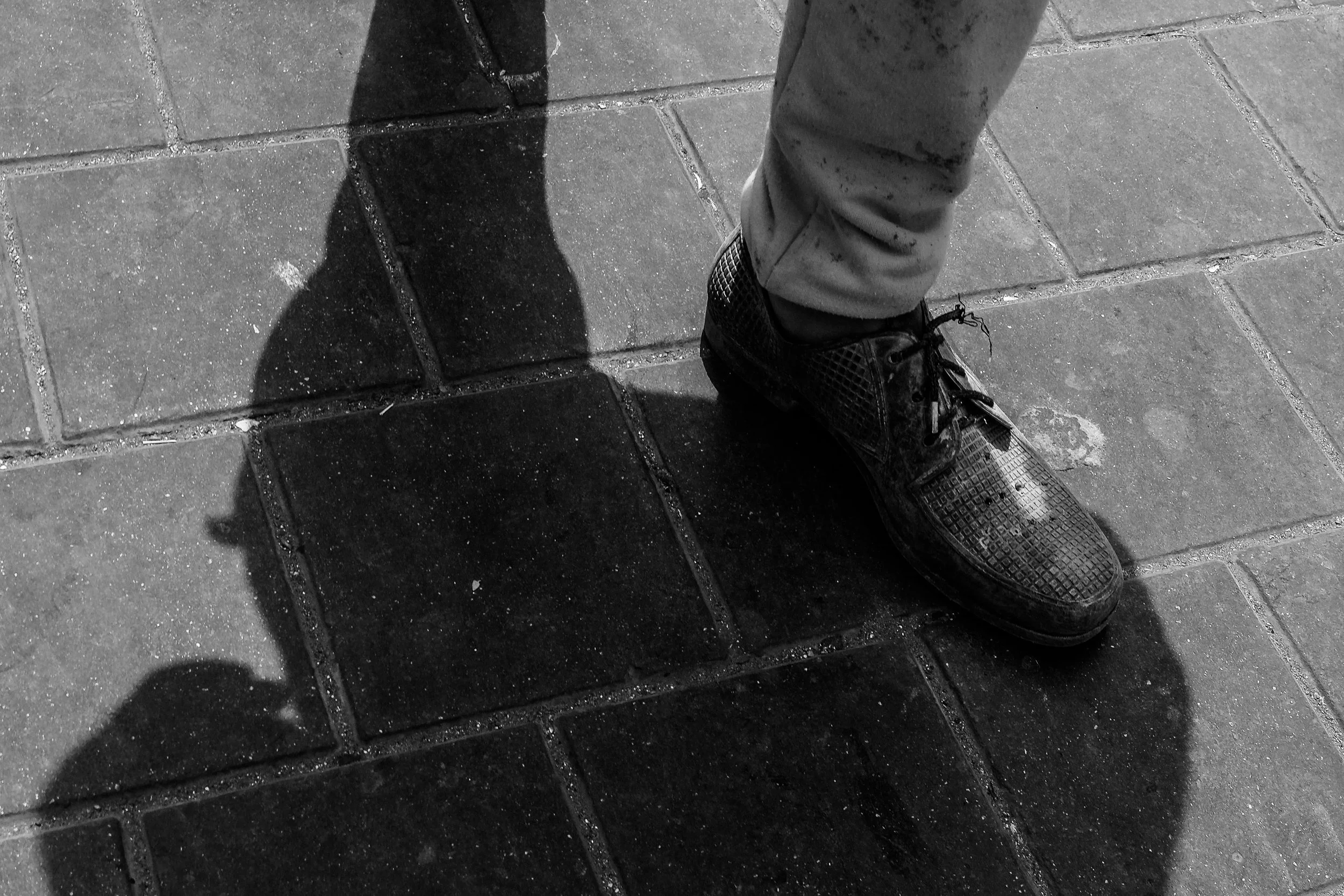 shadow steppers-1.jpg