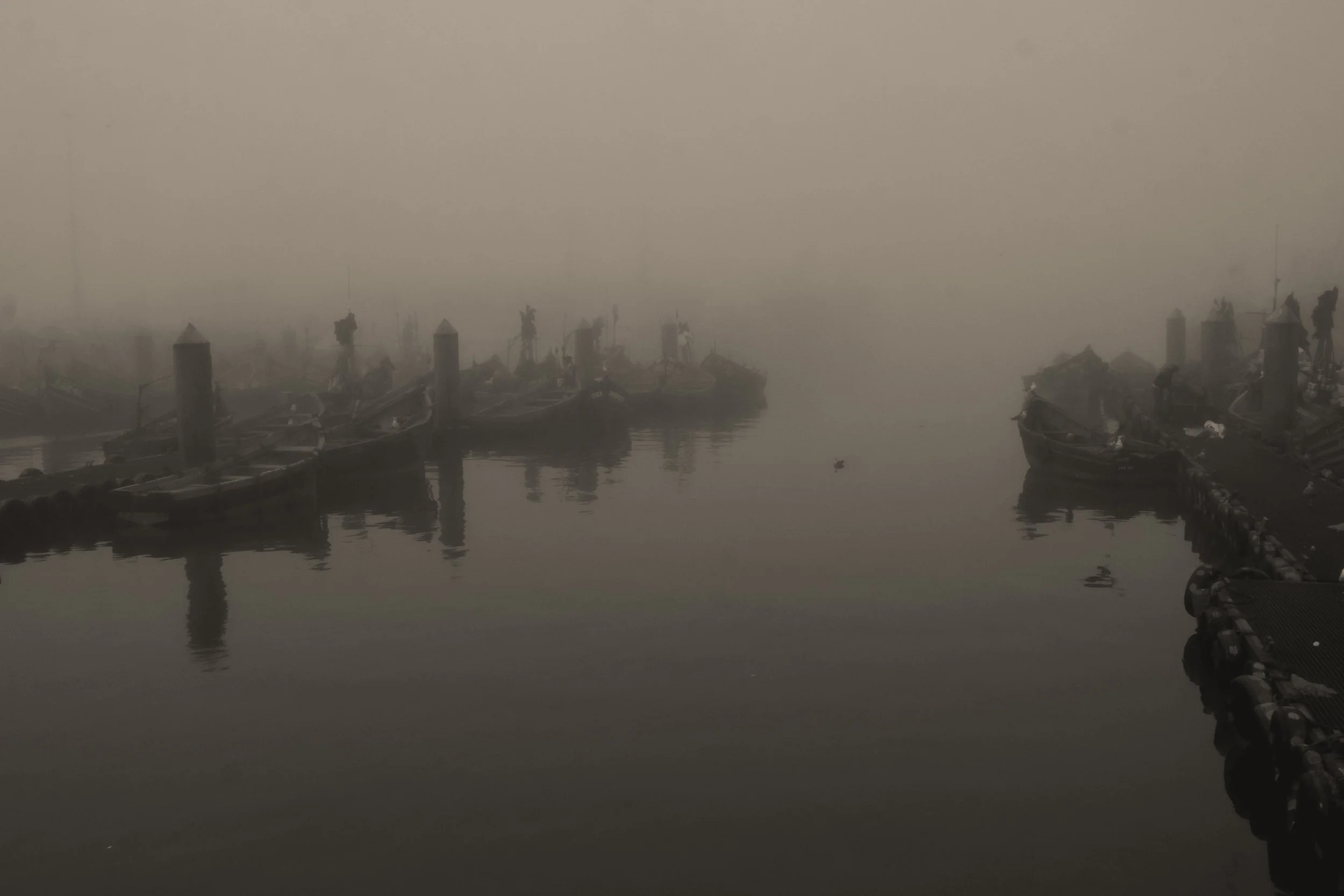 DSCF2948.jpg
