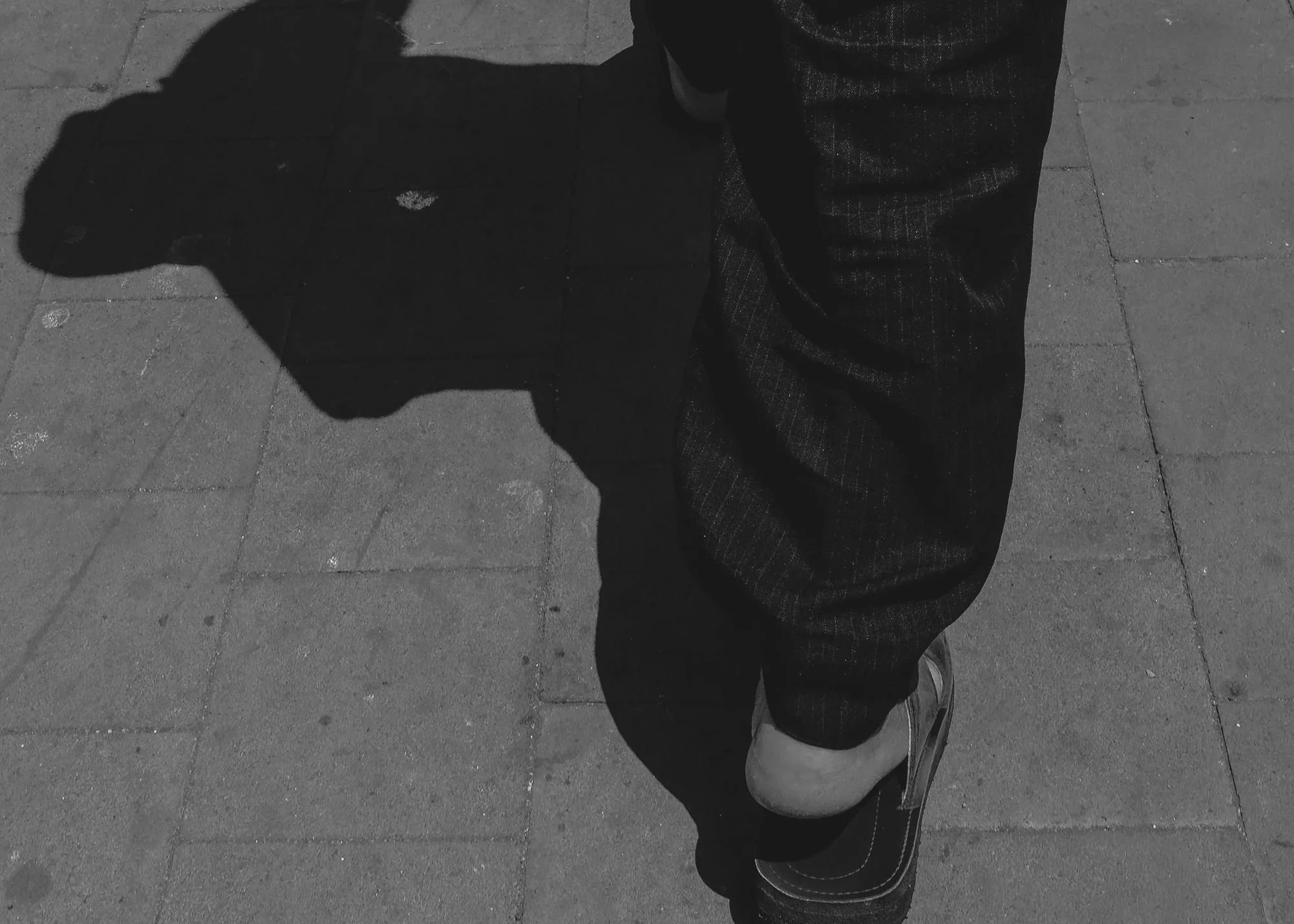 shadow+steppers-16.jpg