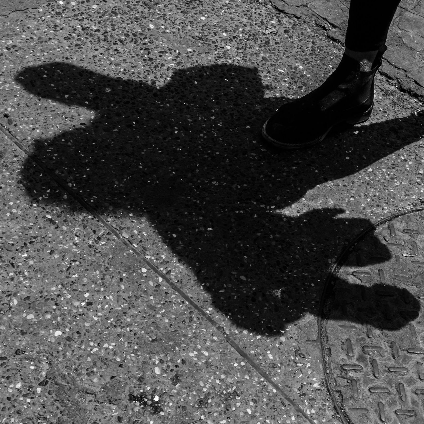 Shadow Steppers 3.