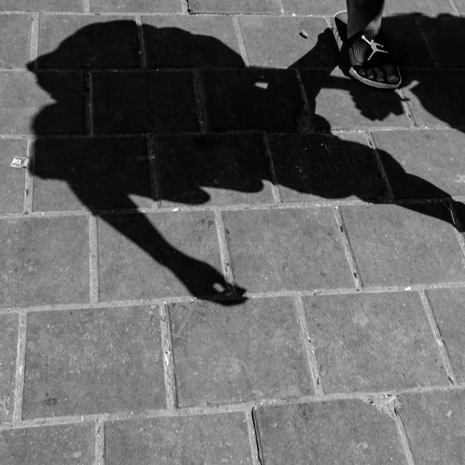 Shadow Steppers 5.