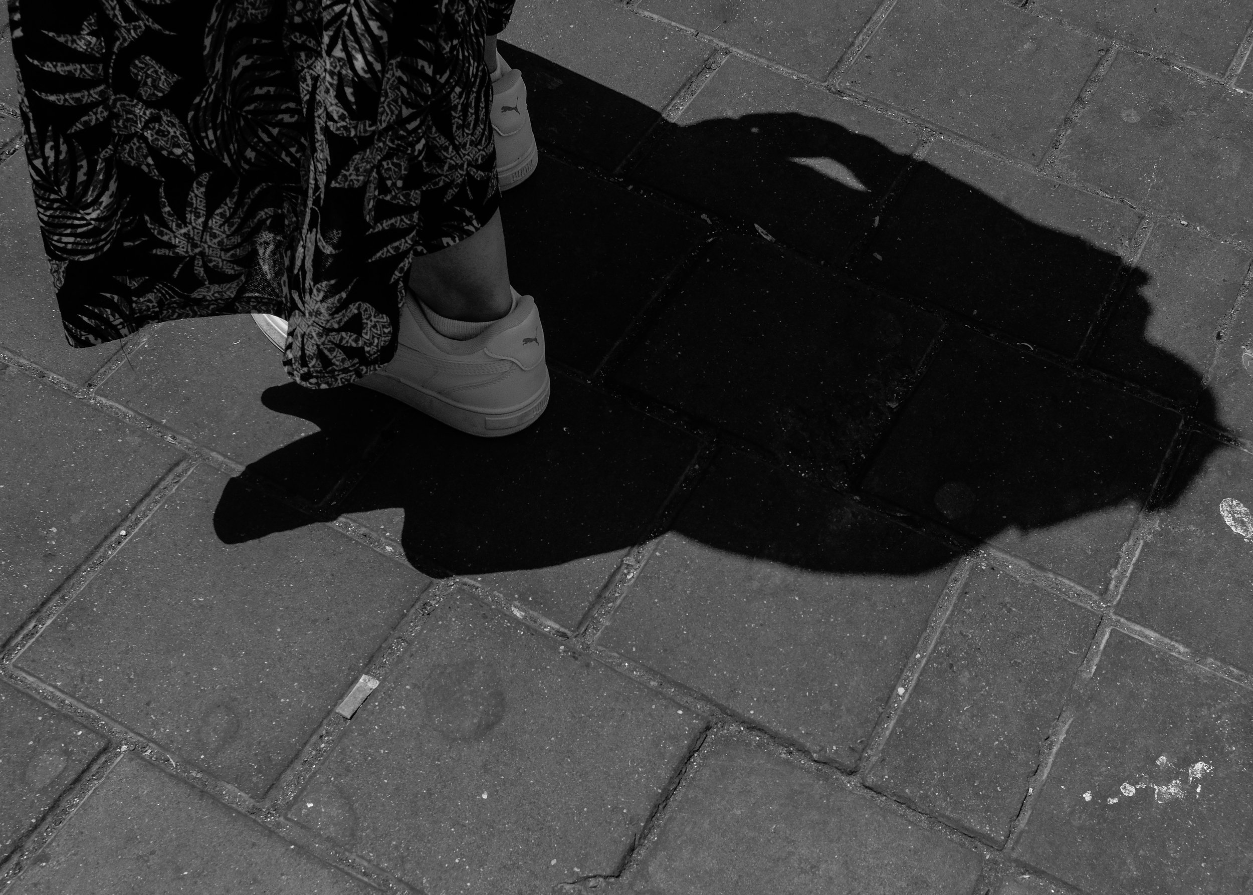 shadow steppers-3.jpg
