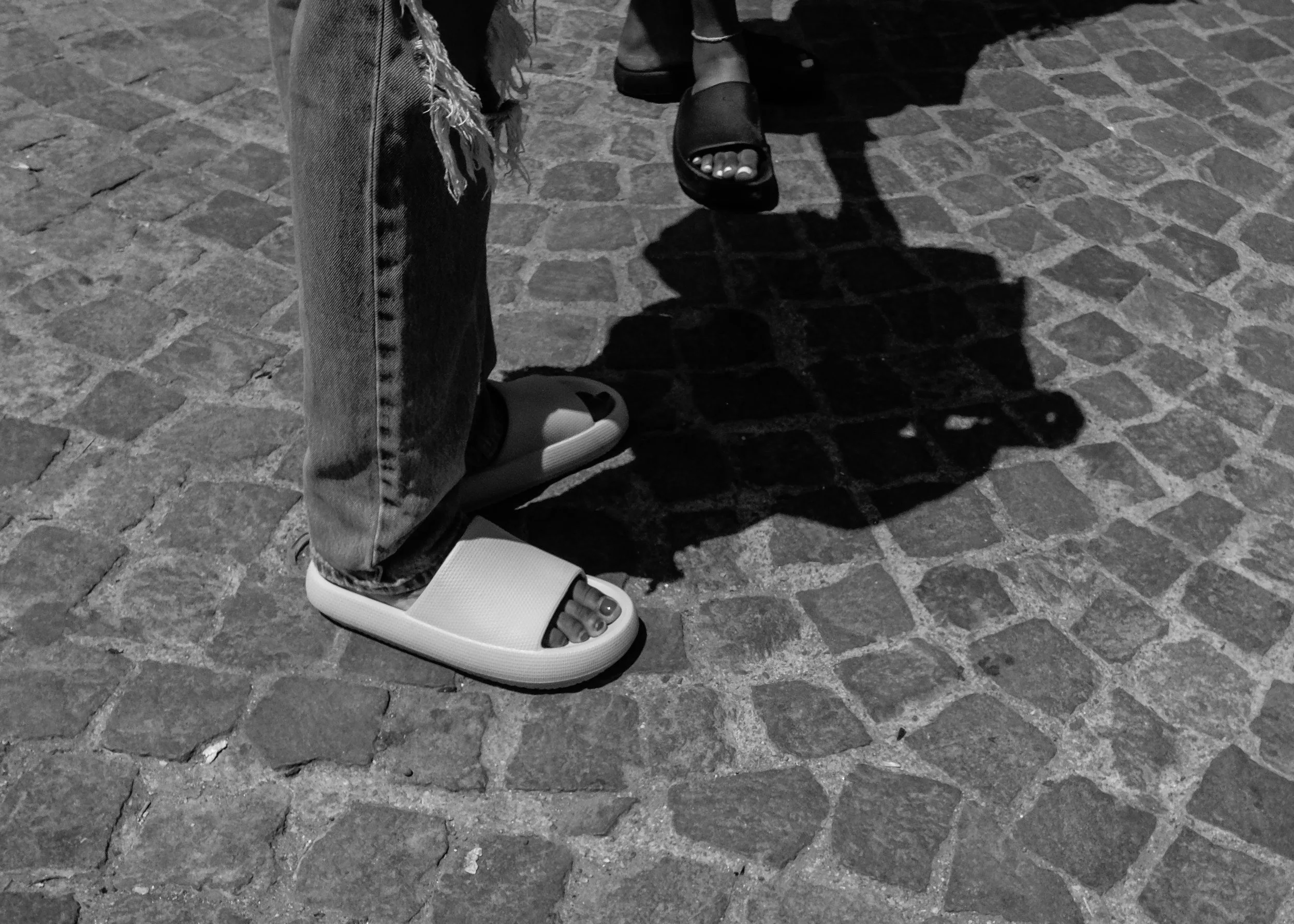shadow steppers-17.jpg