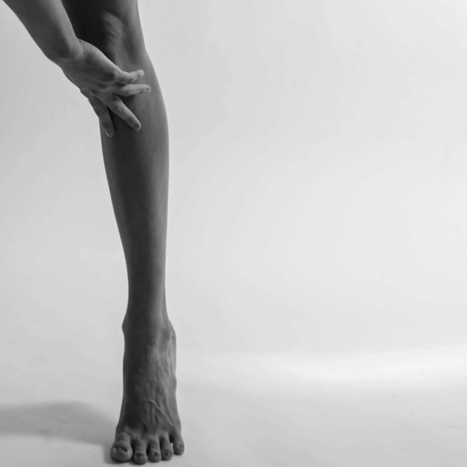 Legs-1.jpg