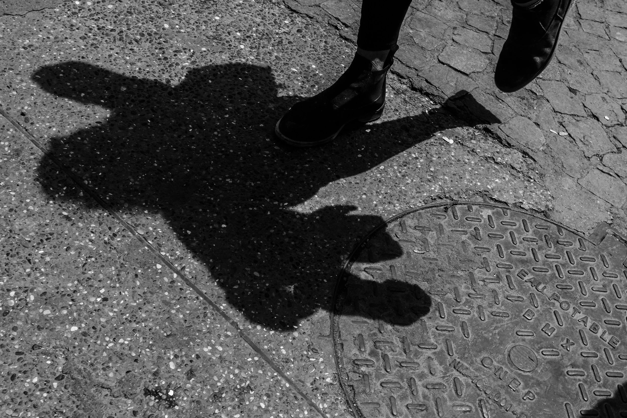 shadow steppers-13.jpg