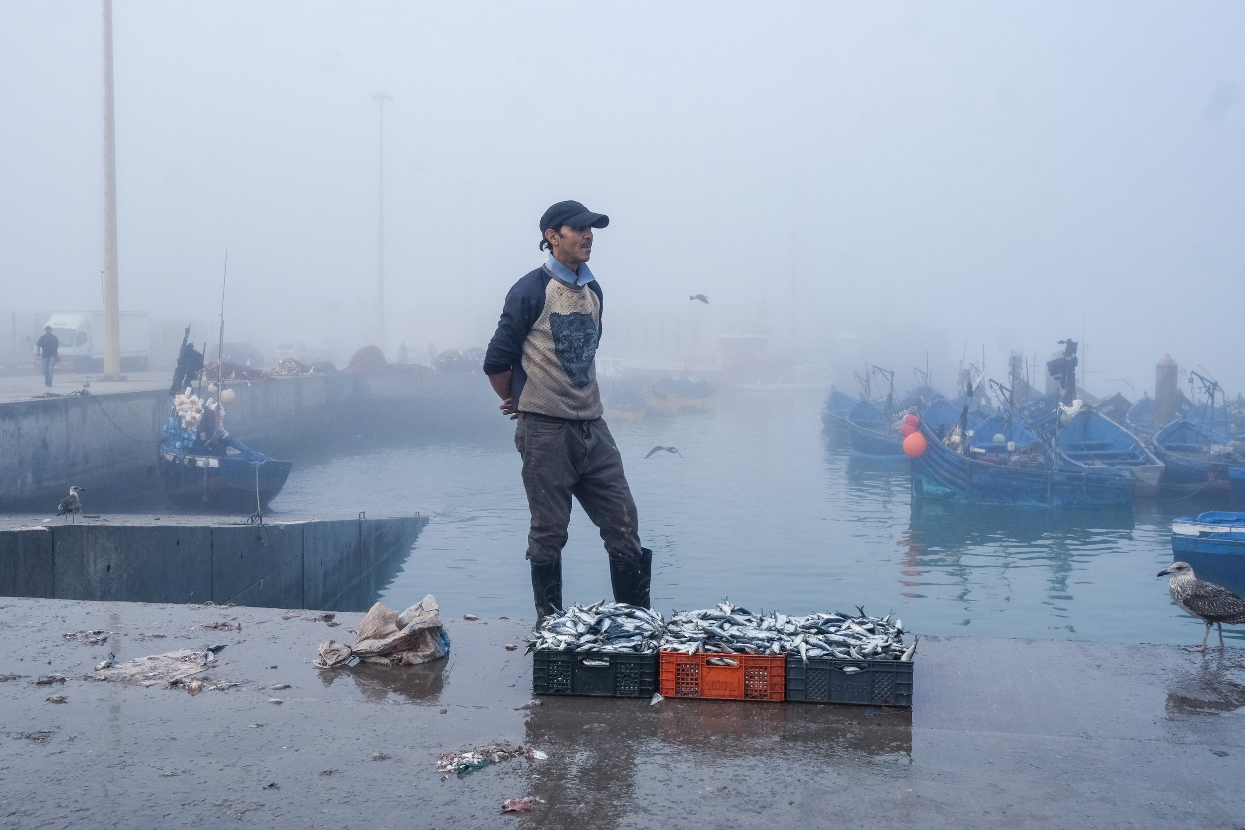 Fish Essaouira-26.jpg