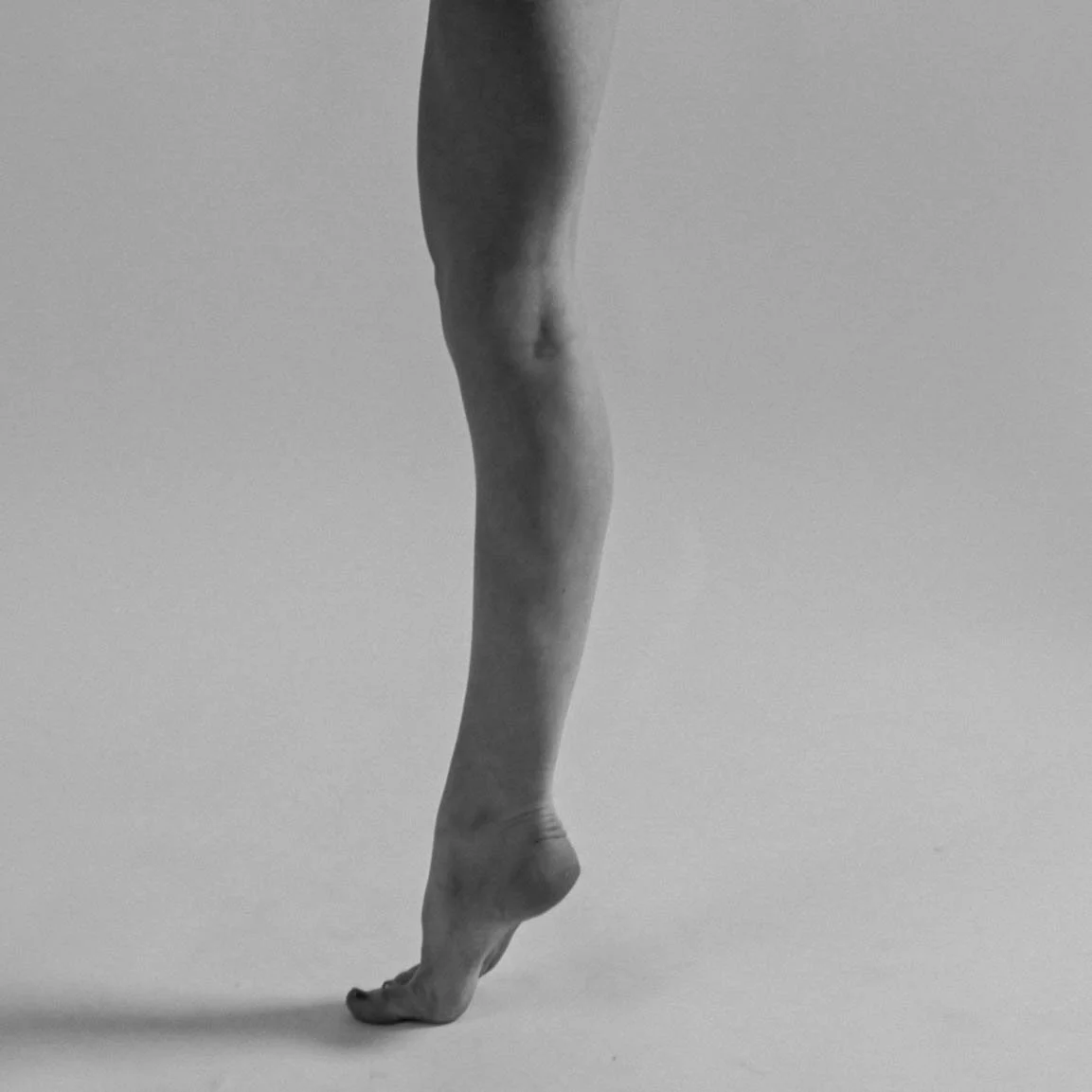 Legs-2.jpg