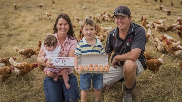 Gunning Bum Nuts free-range eggs capture Sydney market