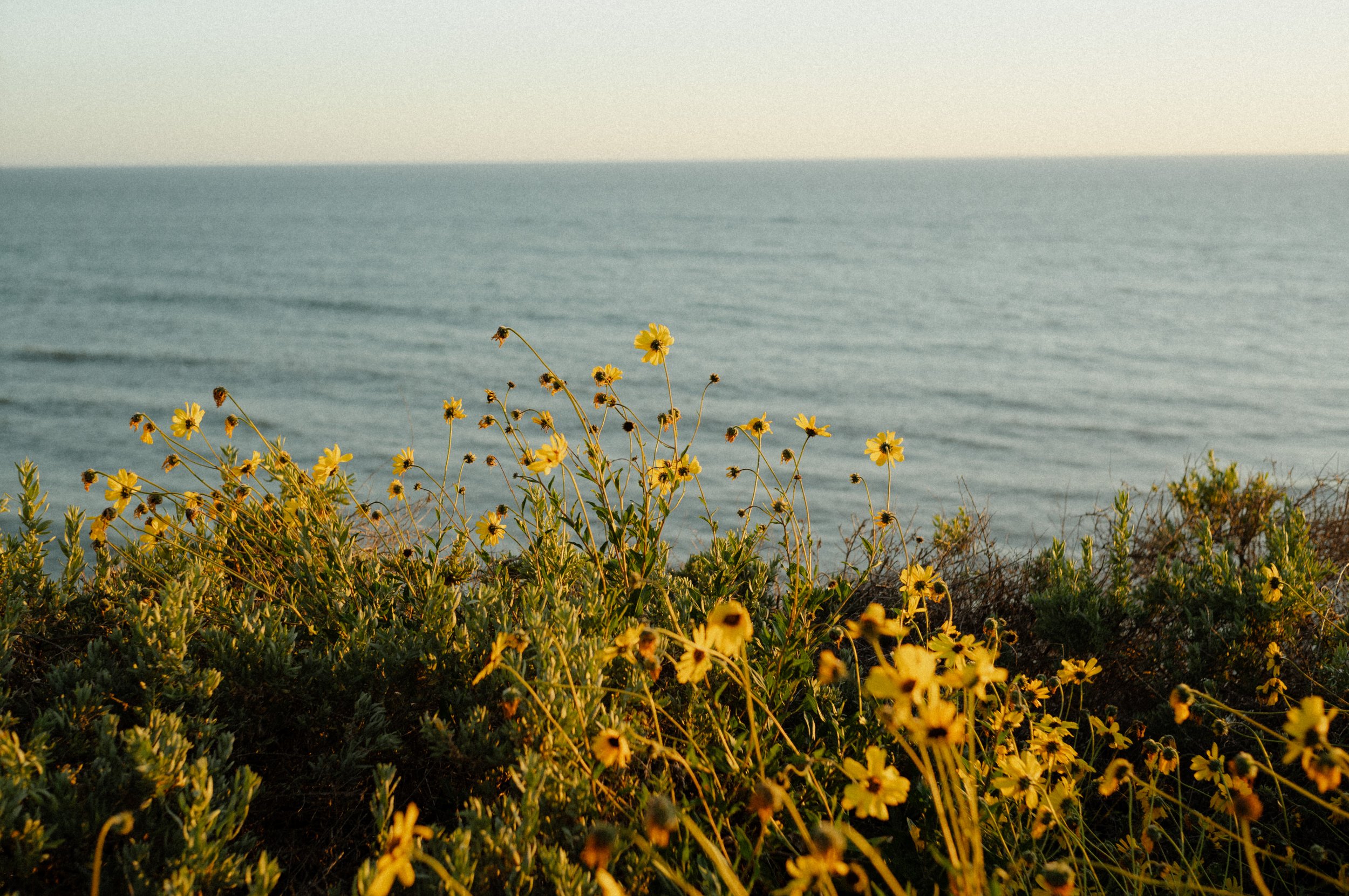 Encinitas, California