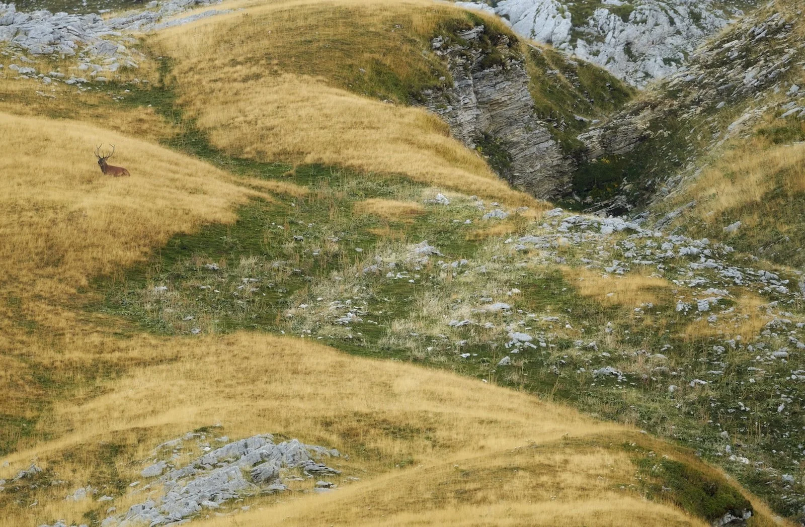 Abruzzo