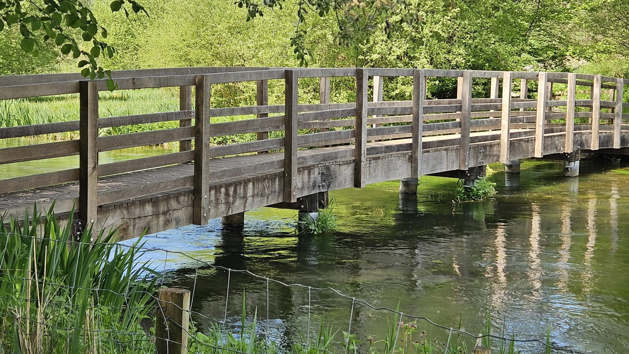 The Itchen River at Martyr Worthy_20250501_125119.jpg