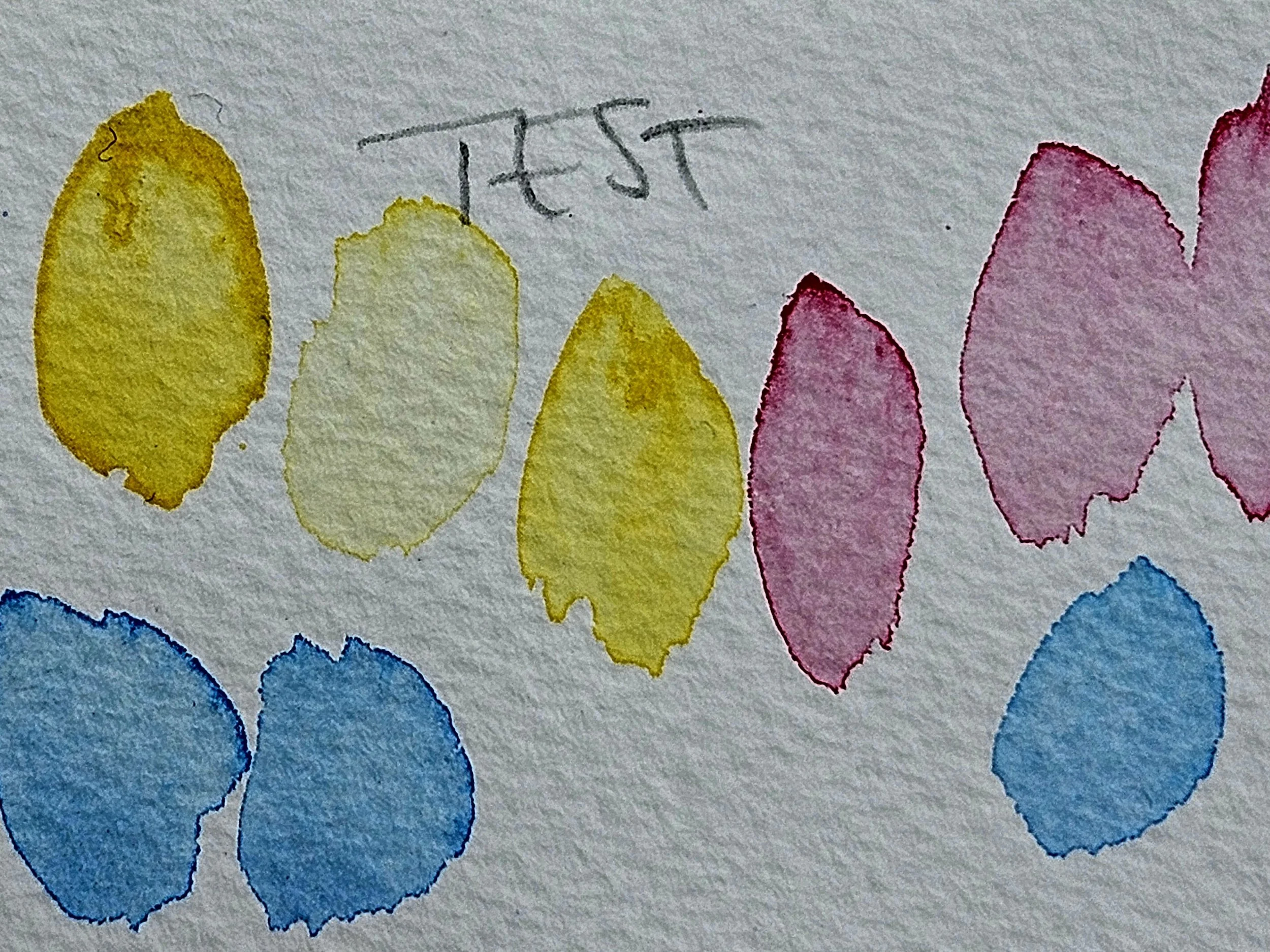 Watercolour Classes with Kirstin White
