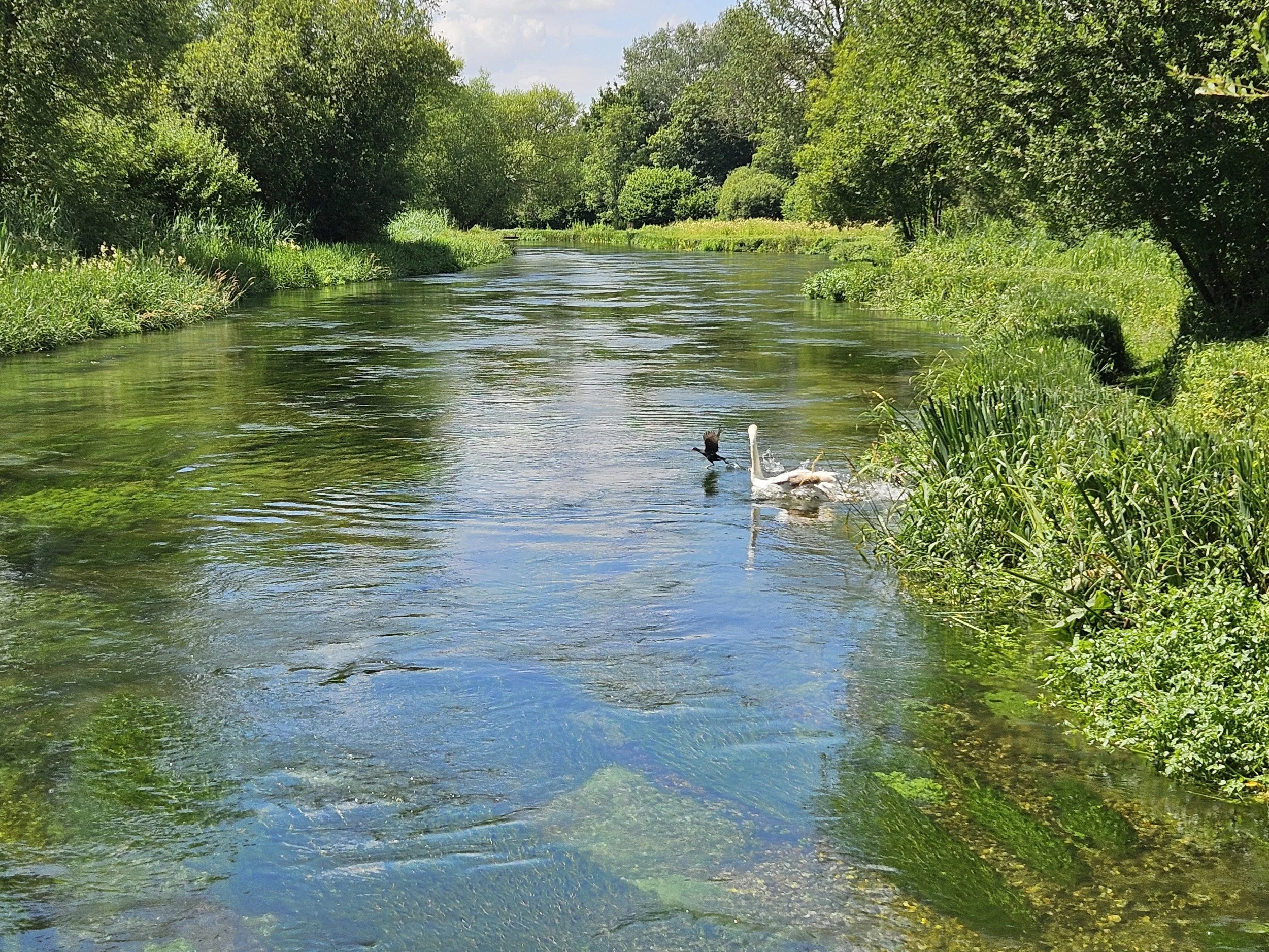 The Itchen River at Martyr Worthy_20240718_133845.jpg
