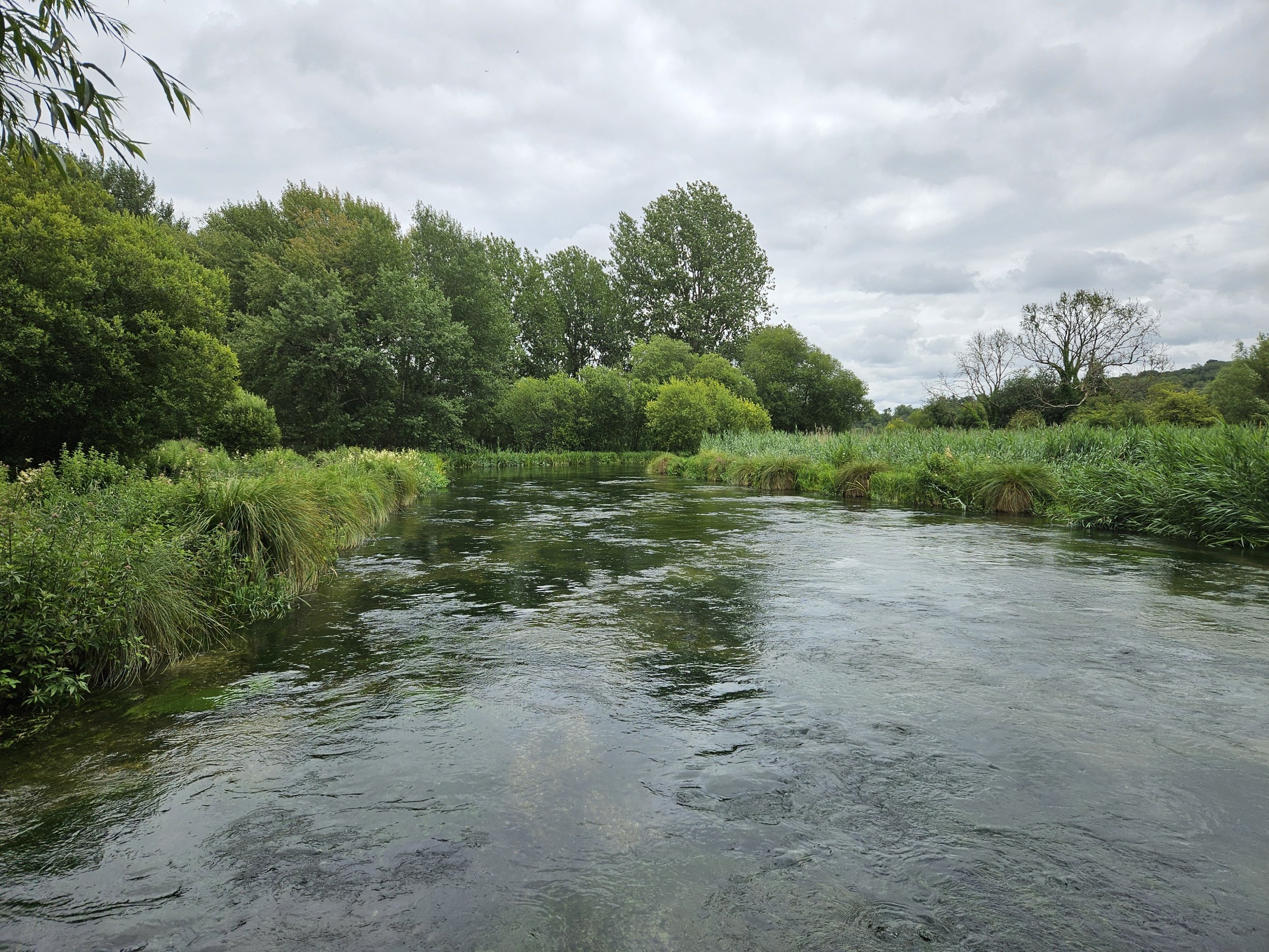 The Itchen River at Martyr Worthy_20240710_124043.jpg