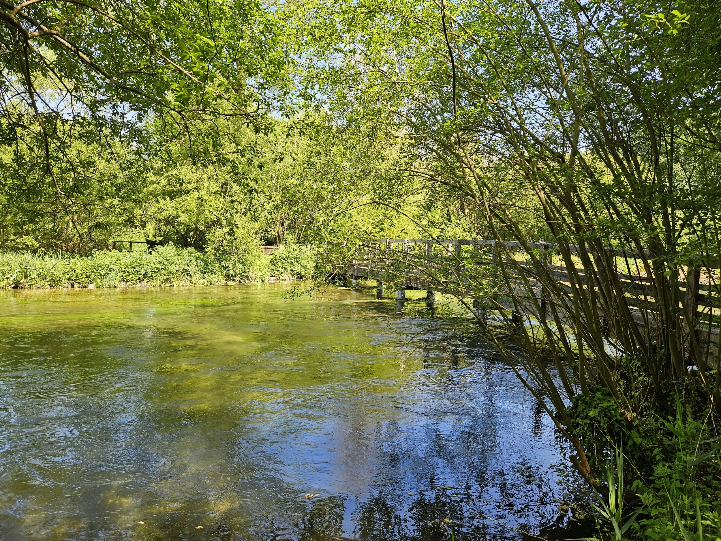 20260506_123233.jpg