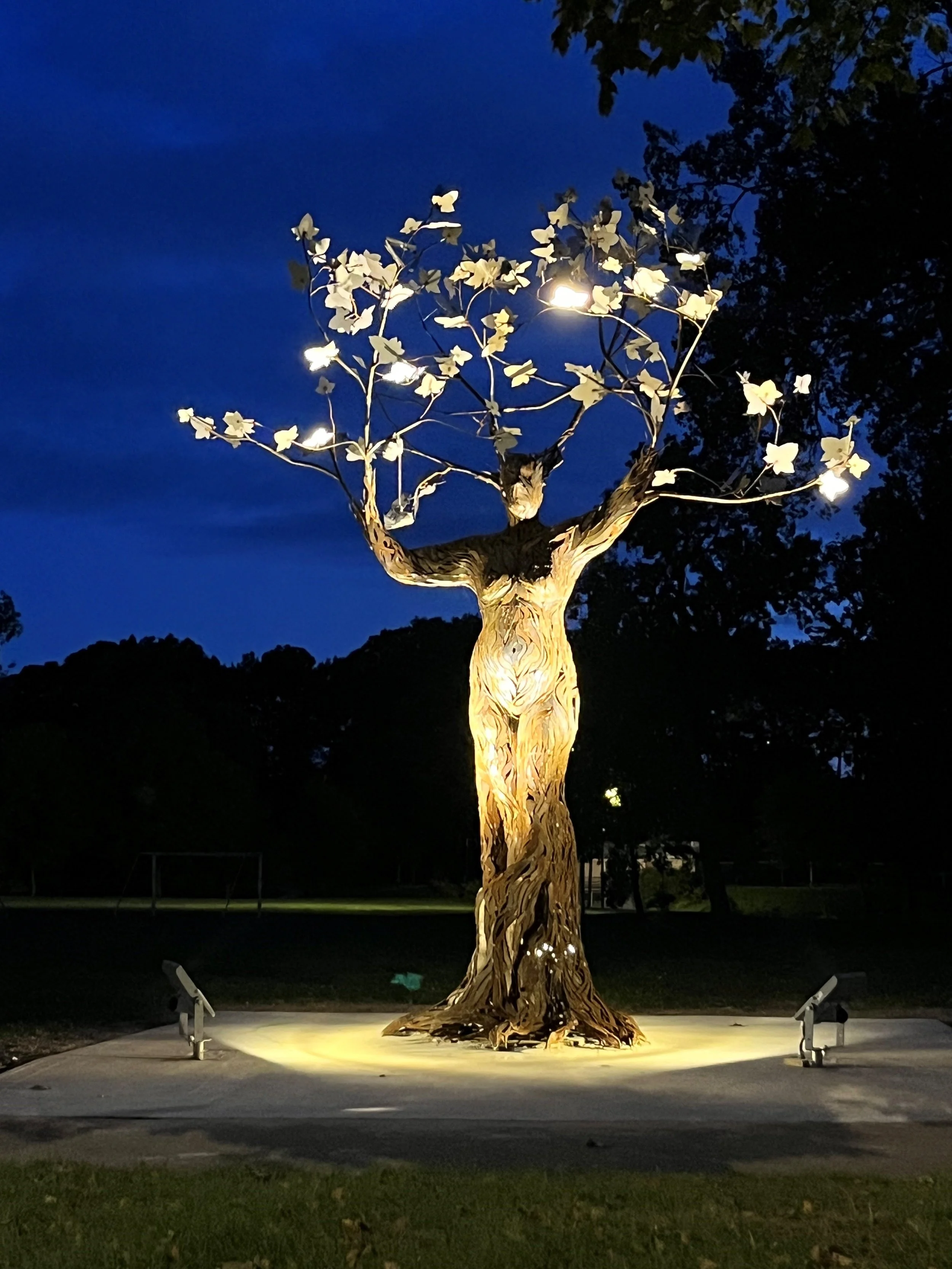 mother tree.jpg