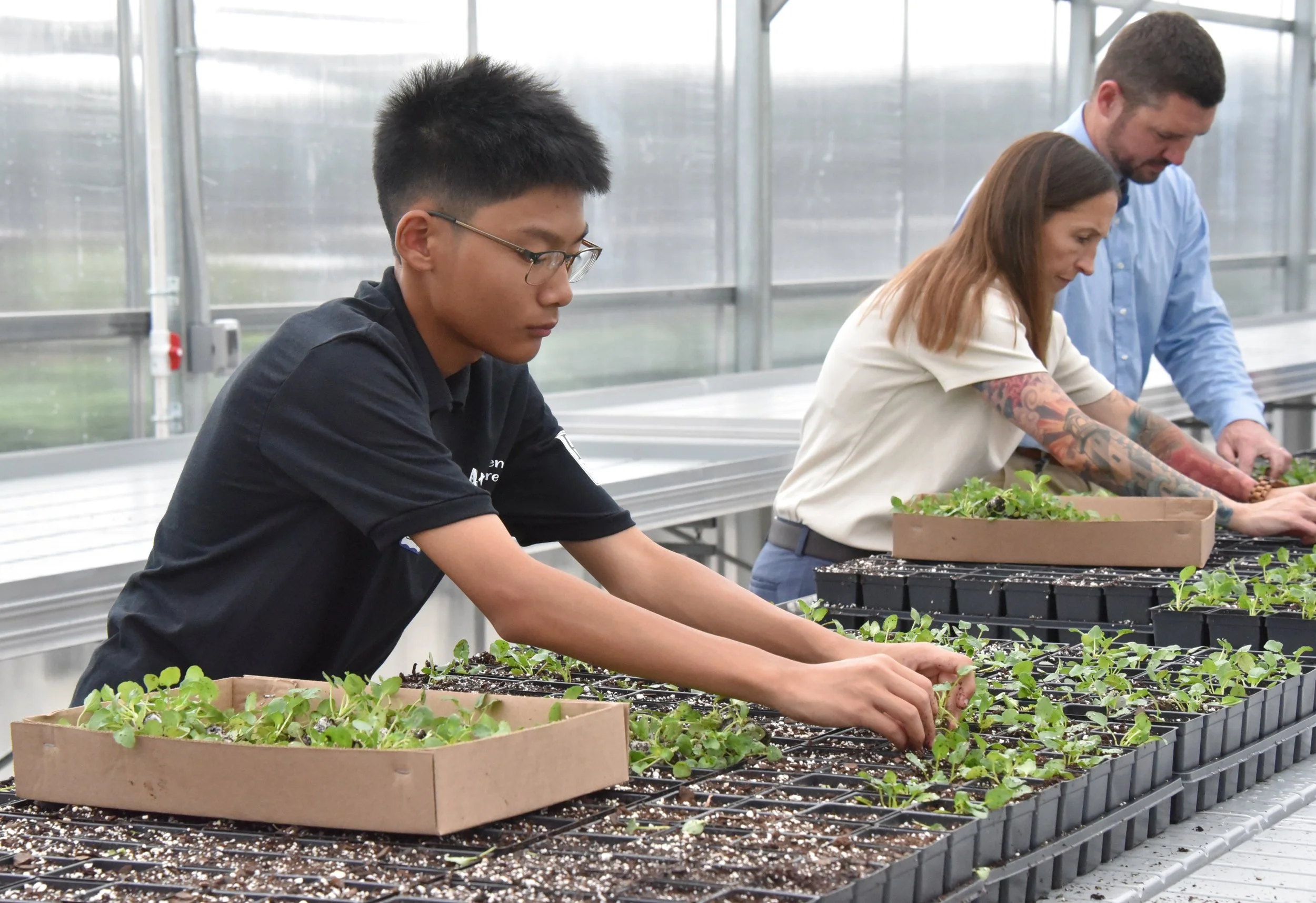 students-and-staff-transplanting-seedlings-greenhouse.jpg