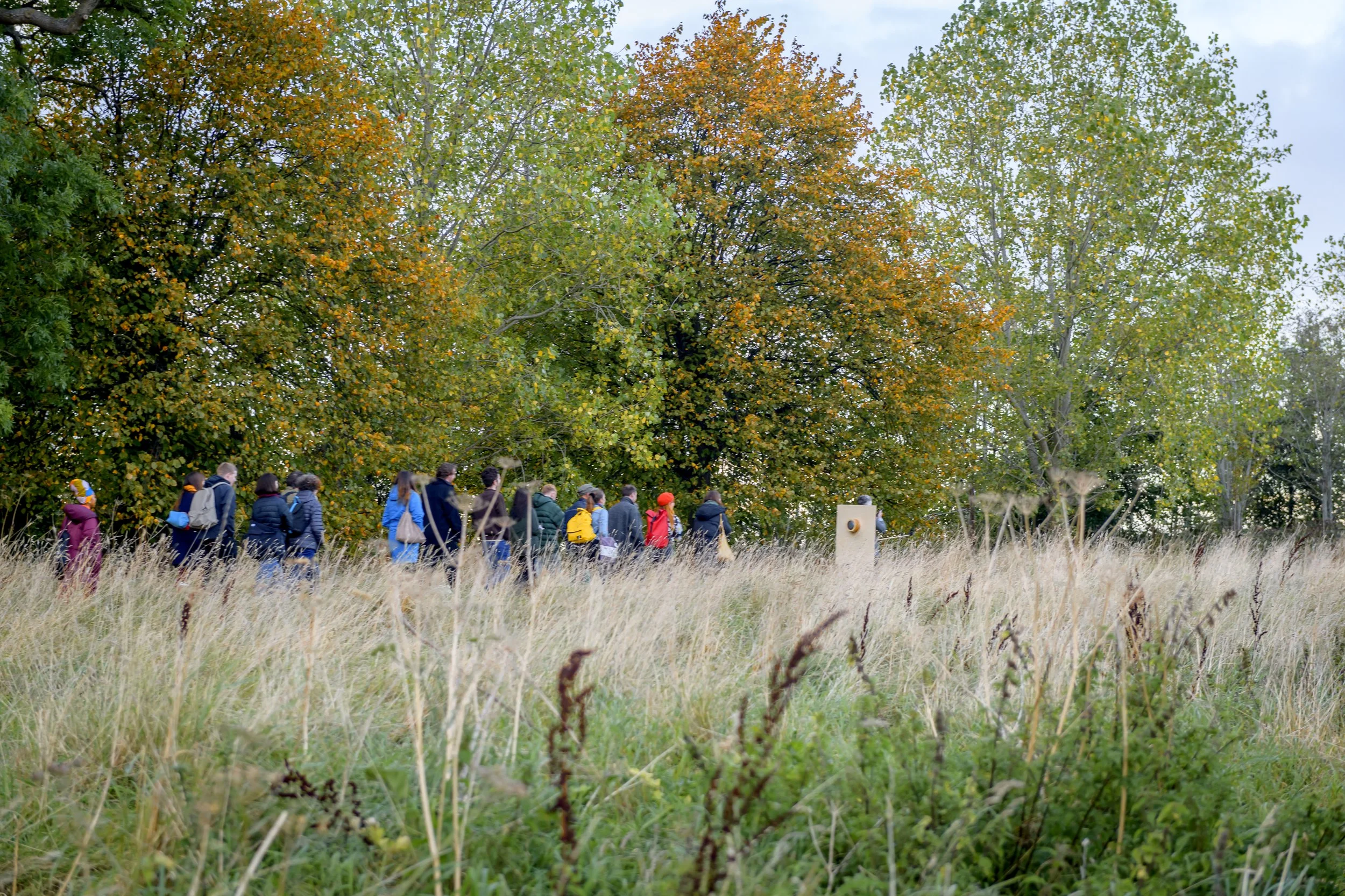 IMMA_Outdoors_2021_300DPI-91 - Copy.jpg