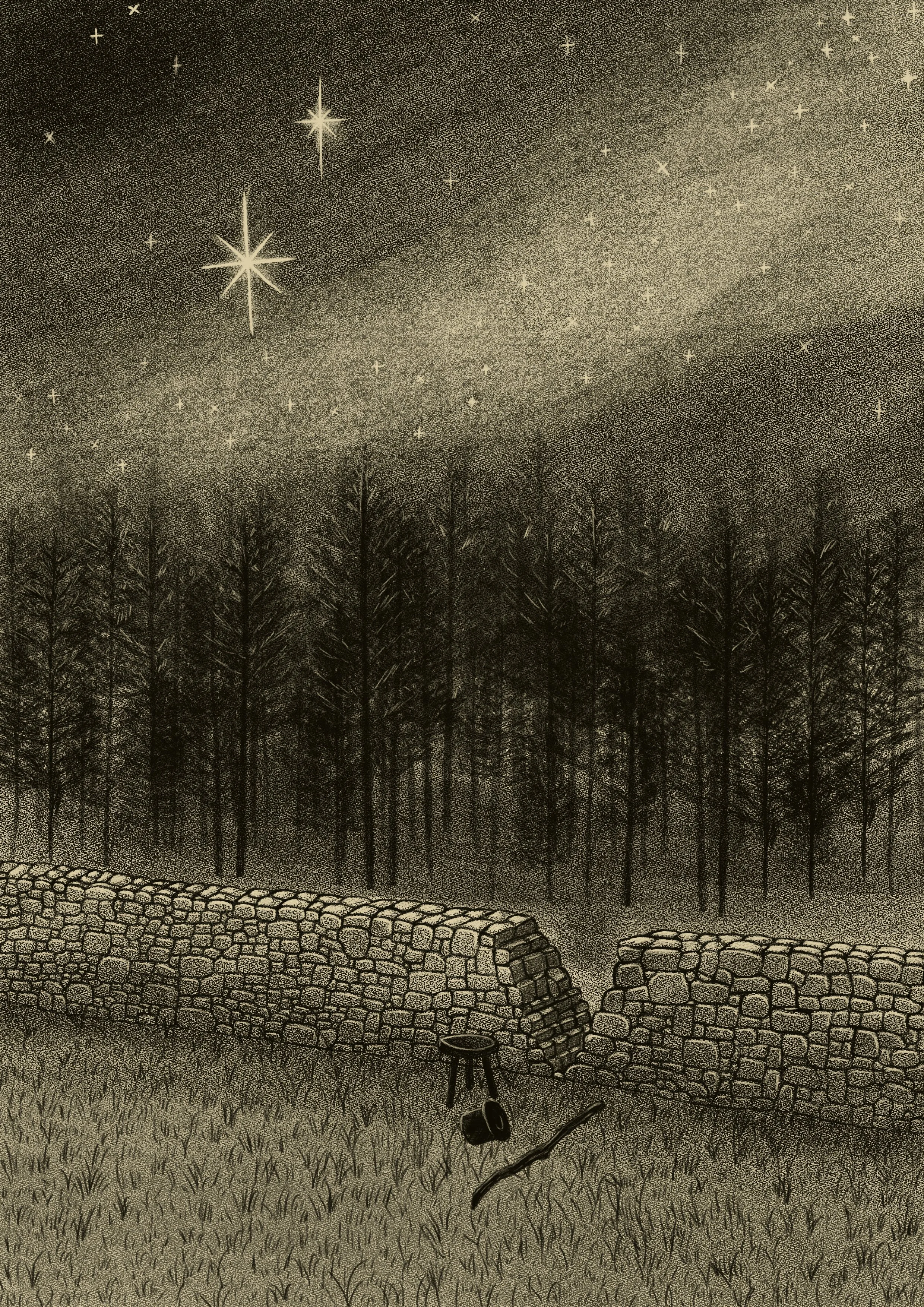 Stardust Illustration.jpg