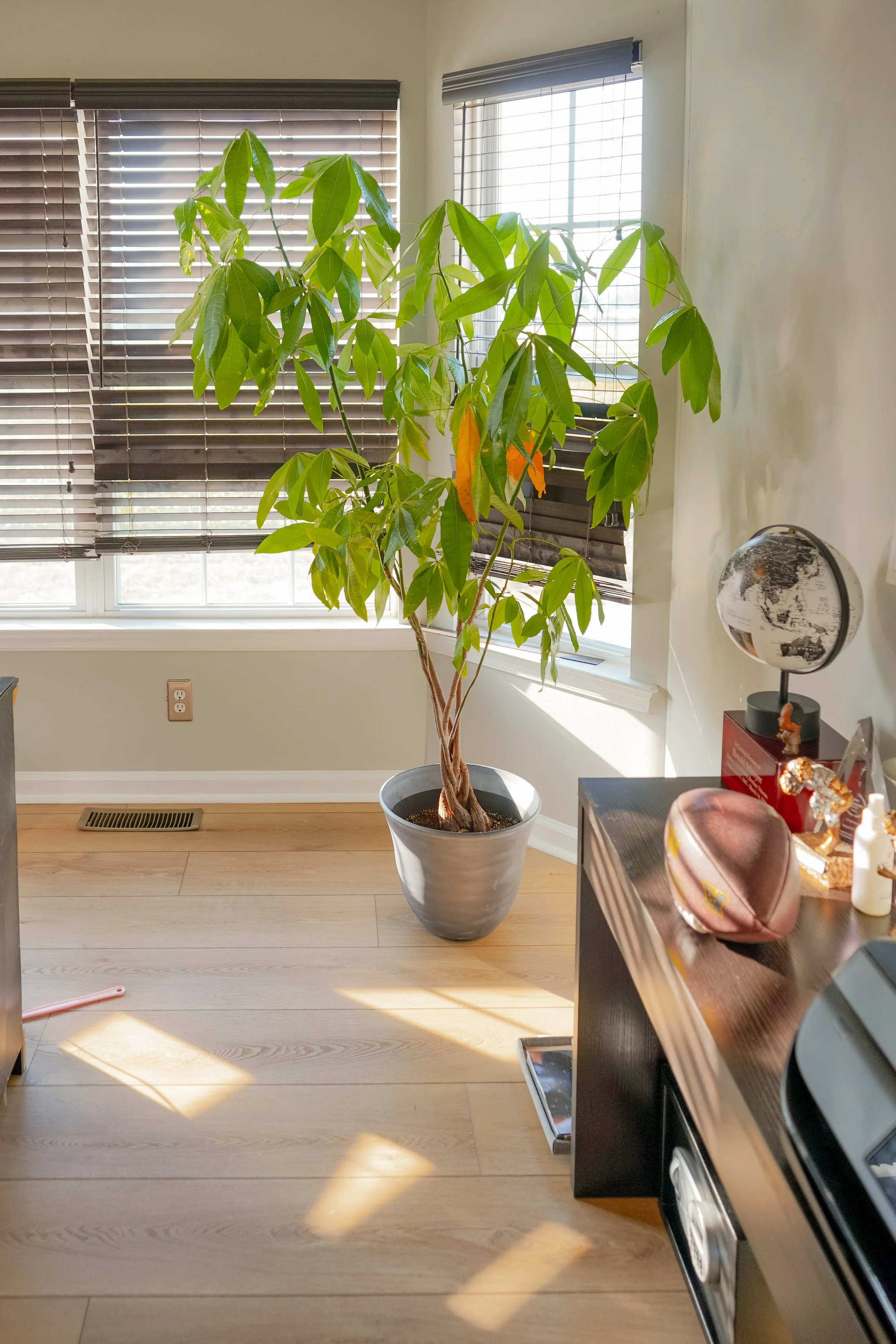 Rachel Schreyer-26.jpg