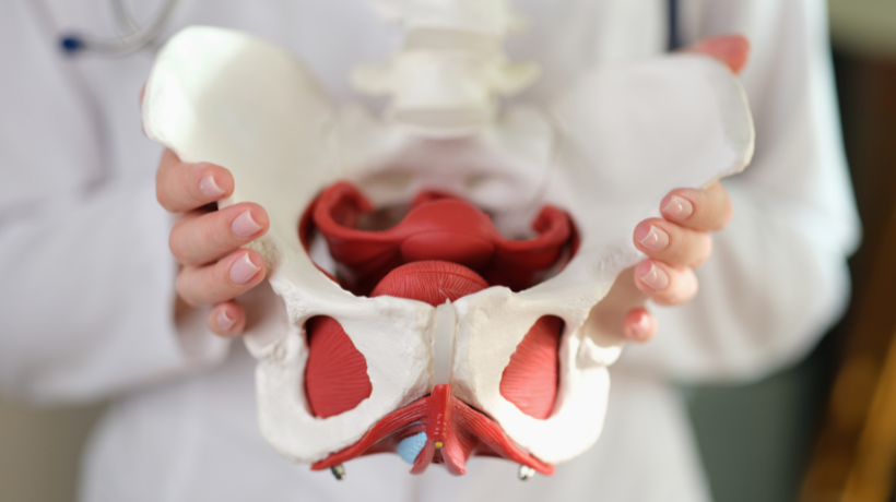 Pelvic Health PT … Is It For Me?