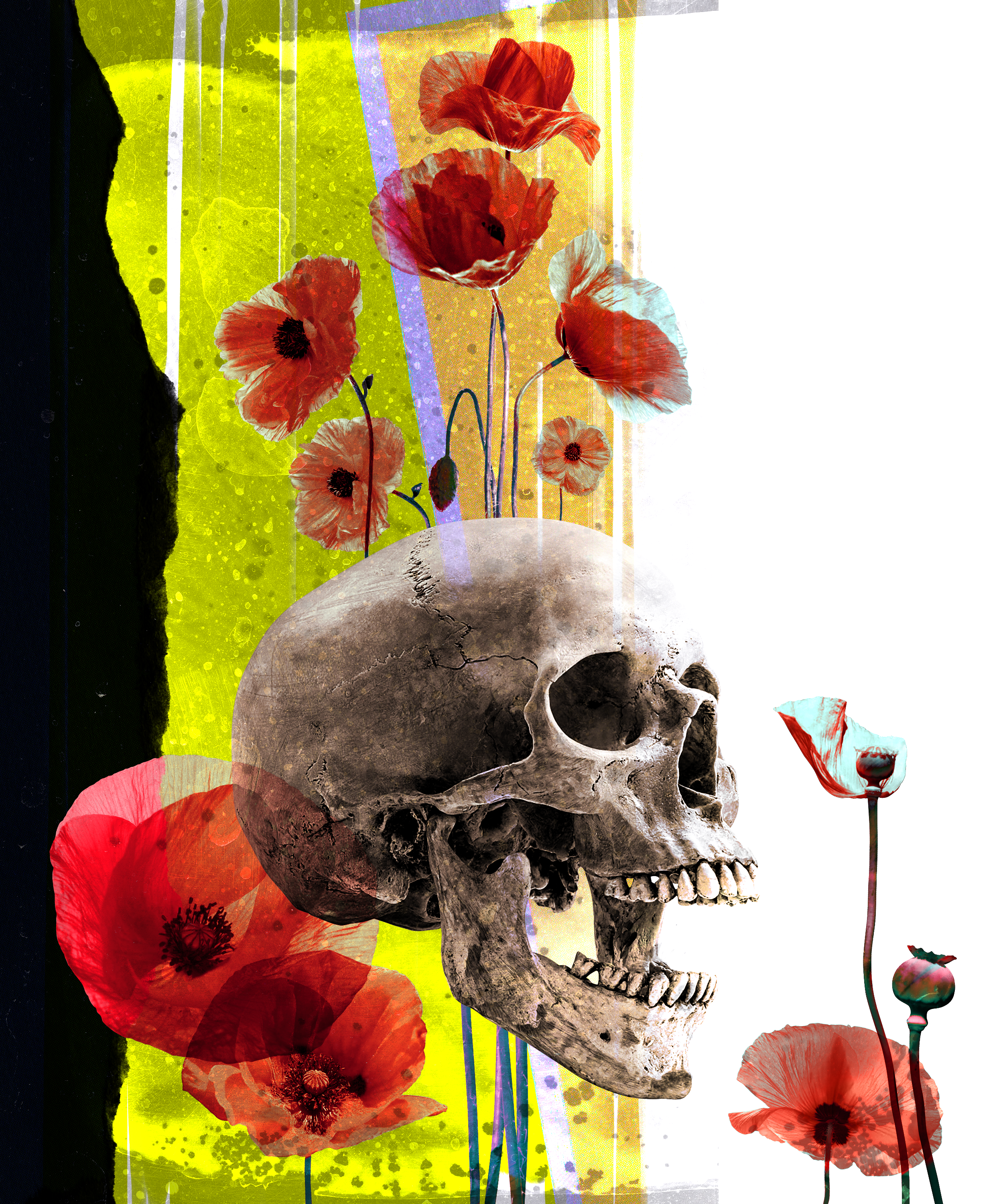 0003 - Skull and poppies.png
