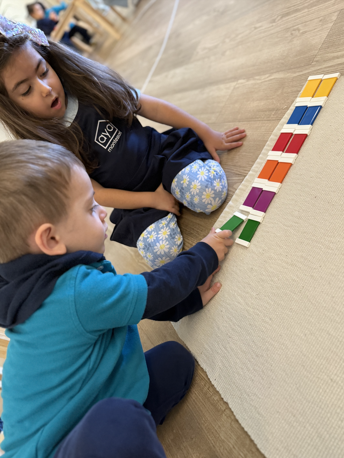 Aya Montessori Primary AMI - Arabic Islam Quran Primary Maryland-18.png