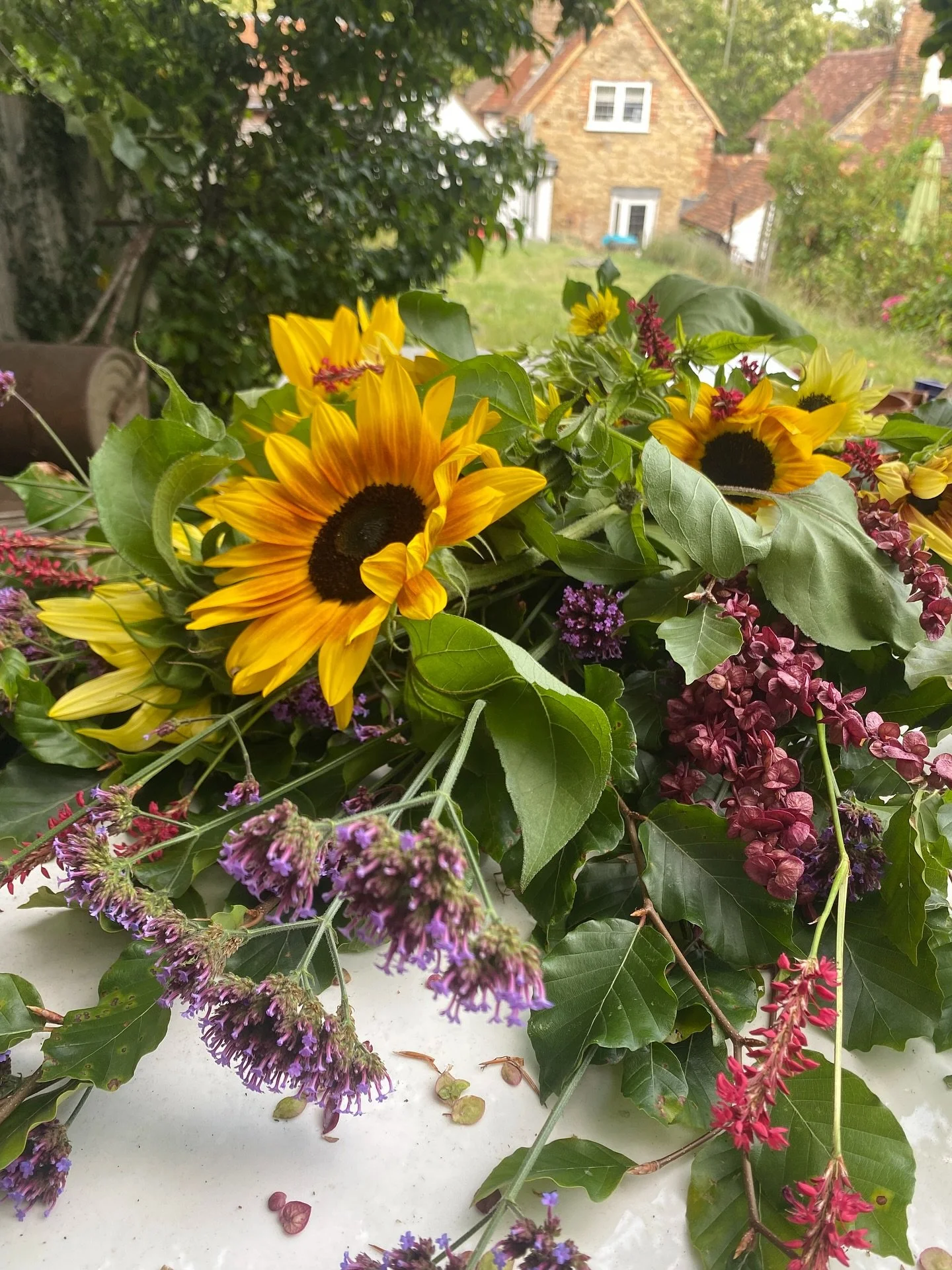 After few months of sofa surfing, I have settled in my little cottage with my flowery workshop up the top of the garden &hellip;. and relax 

#contentment