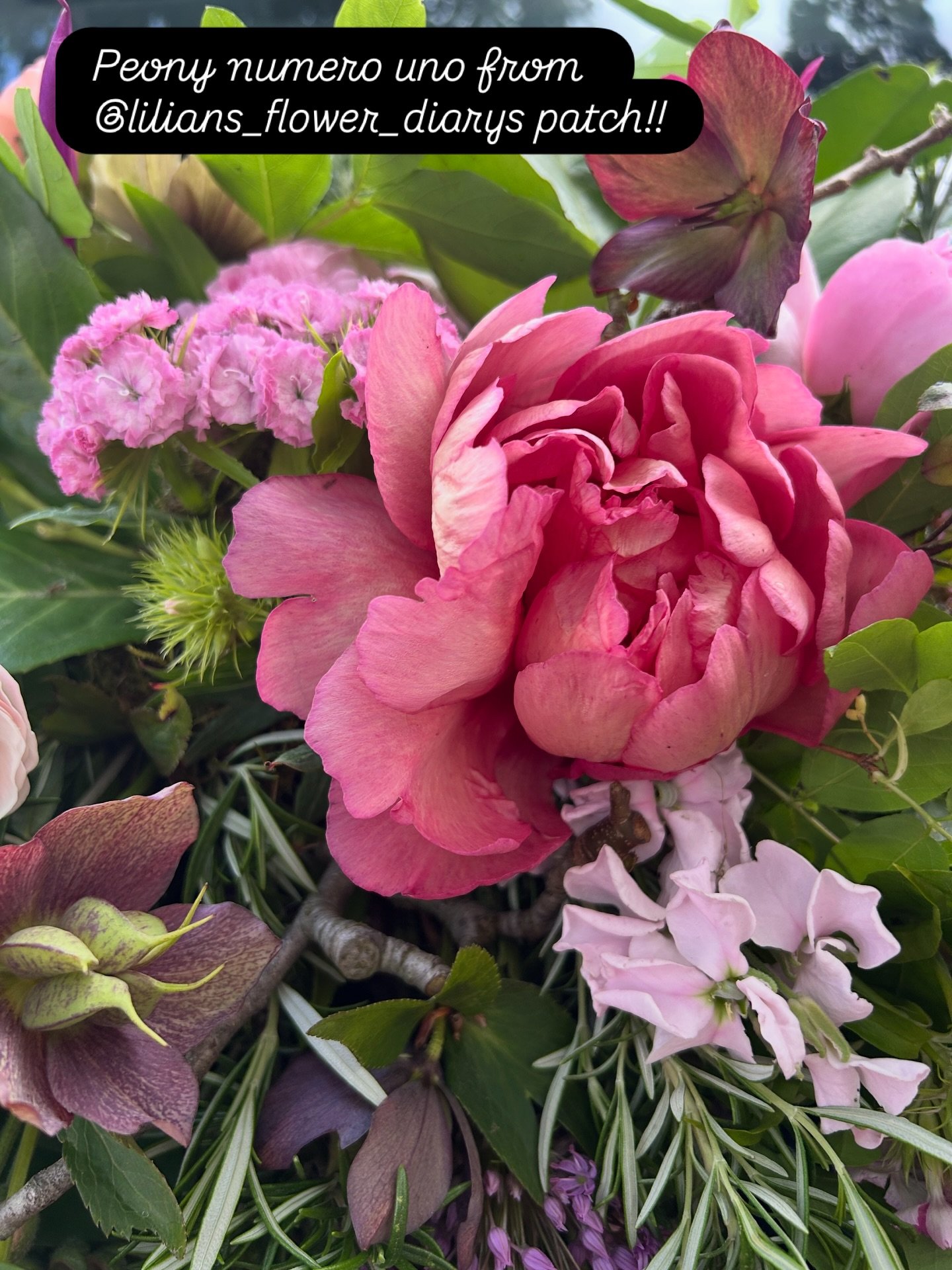 #homegrownflowers