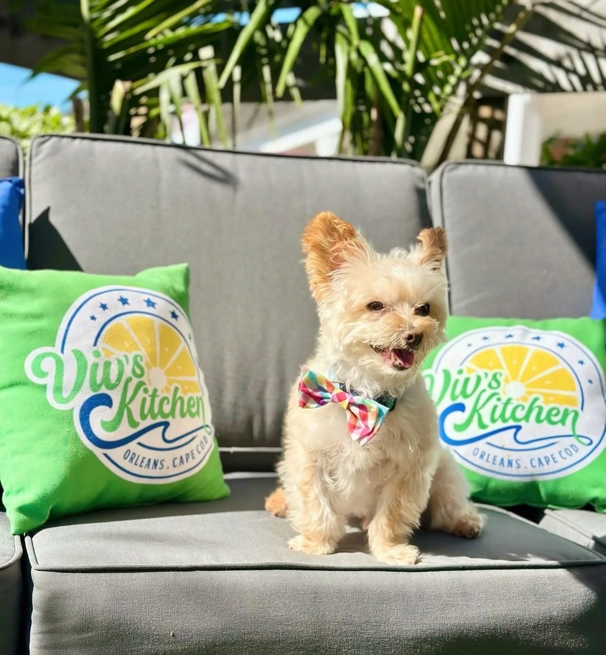 Sunny patio season is around the corner, and we can&rsquo;t wait to soak up those warm, beautiful days with you! ☀️ 

There&rsquo;s nothing like great food, fresh air, and good company to make the season unforgettable. As we get closer, we&rsquo;re l