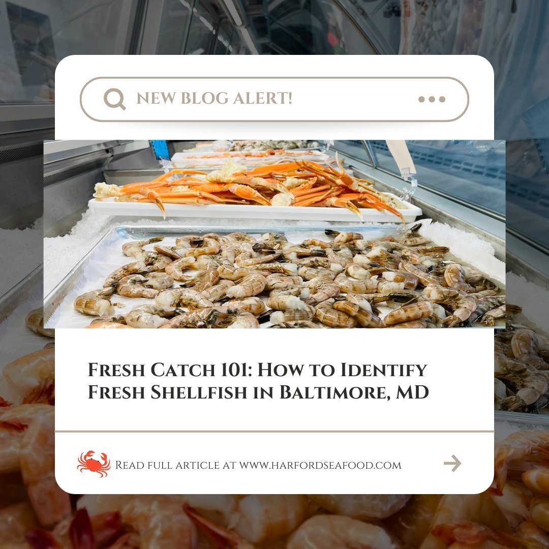 Learn insider tips for picking the freshest, most flavorful shellfish with our new blog, 'Fresh Catch 101: How to Identify Fresh Shellfish in Baltimore, MD' 🦀🌊. Your seafood feast #seafoodlovers

Link: fresh-catch-101-how-to-identify-fresh-shellfis