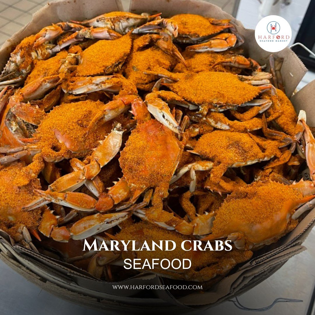 Maryland crabs are in season! 🦀 Treat yourself to the rich taste of Maryland with our fresh-from-the-bay crabs, perfect for your next feast. Order now at Harford Seafood Market and bring the iconic flavors of Maryland to your table.

#MarylandCrabs 