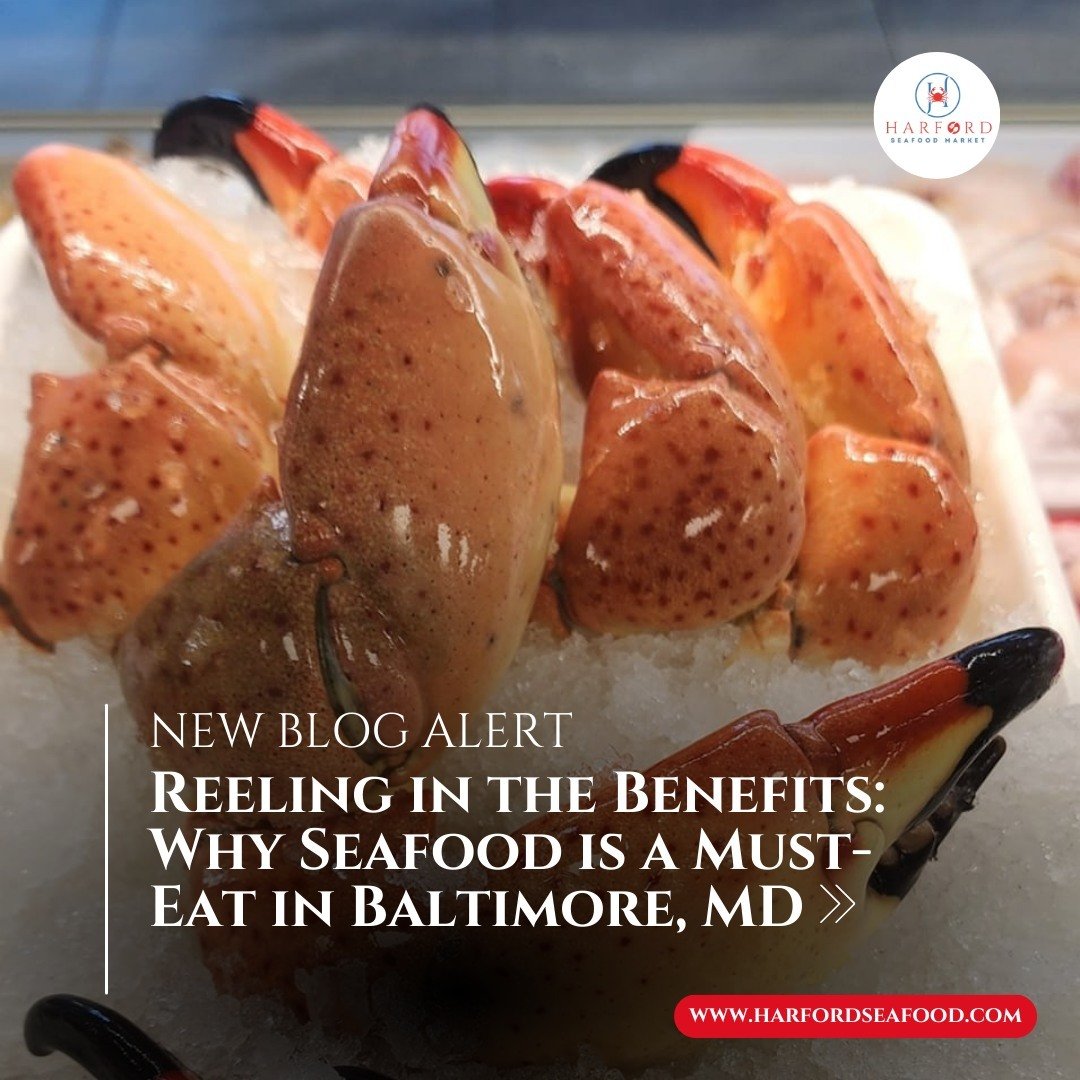 𝗛𝗼𝗼𝗸 𝗼𝗻 𝗛𝗲𝗮𝗹𝘁𝗵? 🎣 Read our latest blog post, 'Reeling in the Benefits: Why Seafood is a Must-Eat in Baltimore, MD,' to discover the ocean of benefits that come with every delicious bite!

#BaltimoreSeafood #HealthyEating #SeafoodBenefits