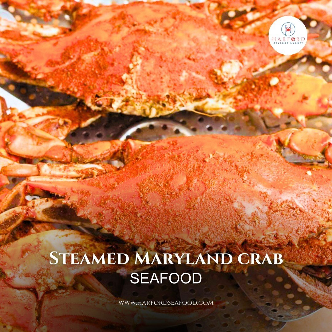 Crack into the classic taste of Steamed Maryland Crab! 🦀 Fresh, flavorful, and perfectly seasoned to capture the essence of the Chesapeake Bay. Experience a true Maryland tradition today! 

#MarylandCrab #SteamedCrab #ChesapeakeBayFlavors #SeafoodTr