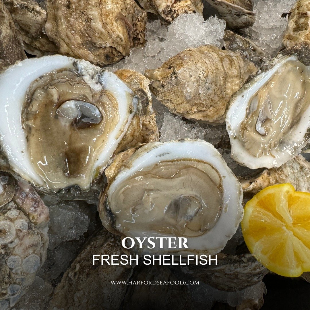 Ready to shell-ebrate?

Crack open our shuckin' good fresh oysters! 🌊🐚 Sourced from the depths, these gems are ready to tickle your taste buds. Perfect for a luxurious seafood affair or a casual shucking session with pals.

Don't be shellfish! Orde