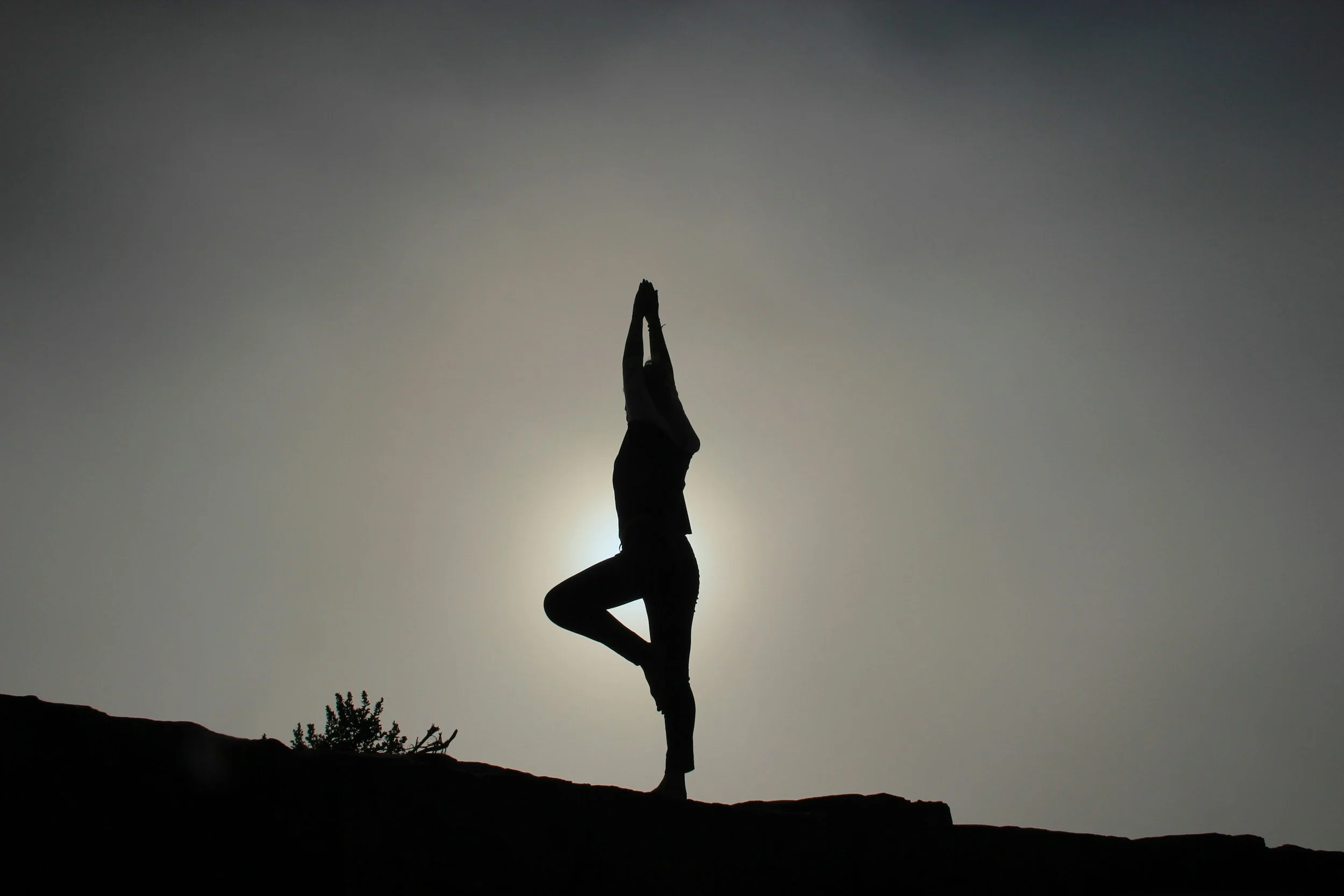 Online Yoga for 40+/ Zen Mat Yoga Studio