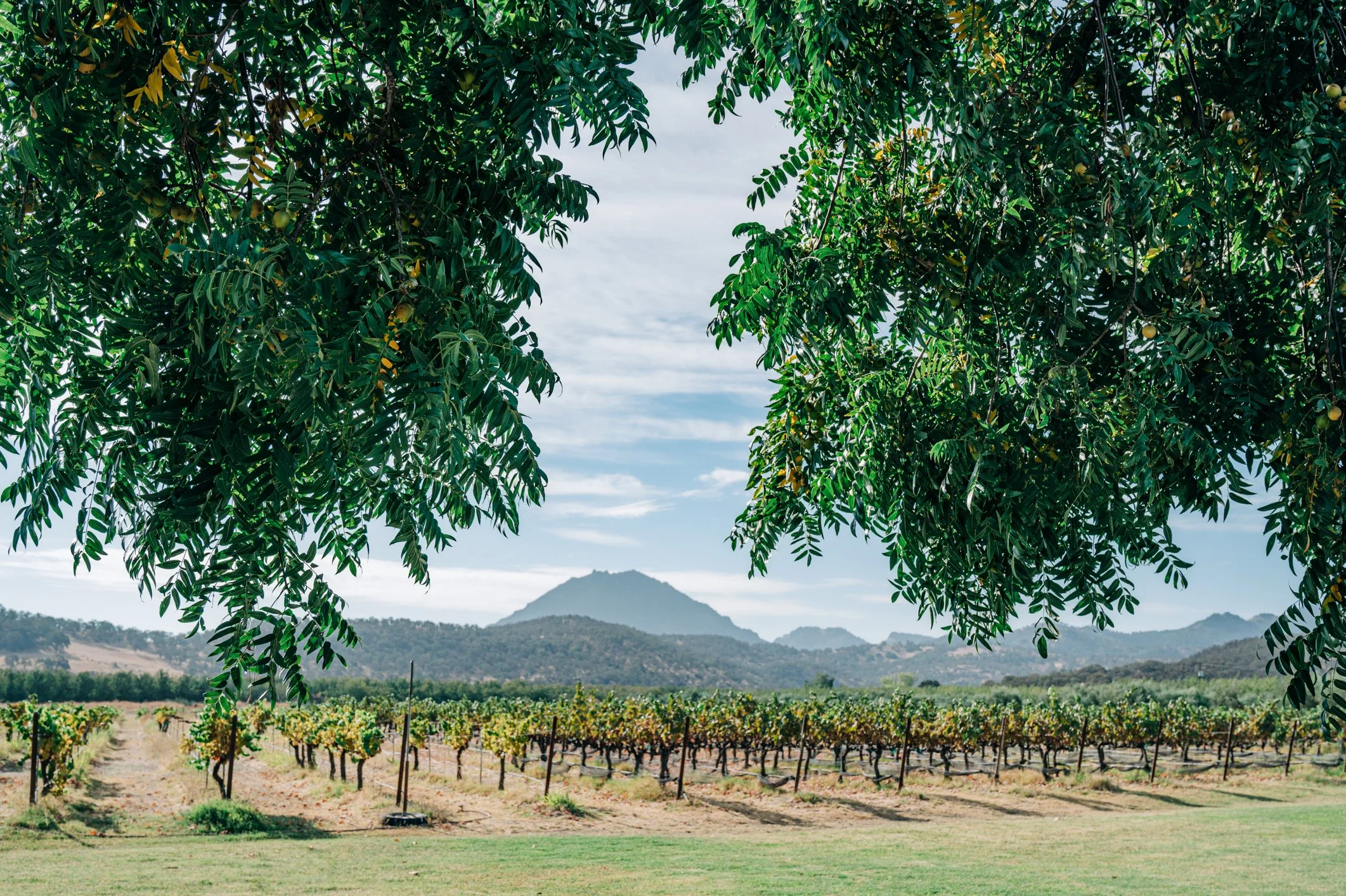 Agriculture & Agritourism