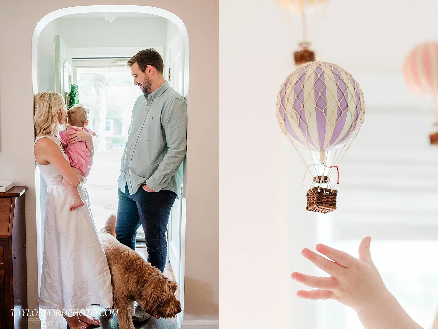 indianapolis family photographer with dog
