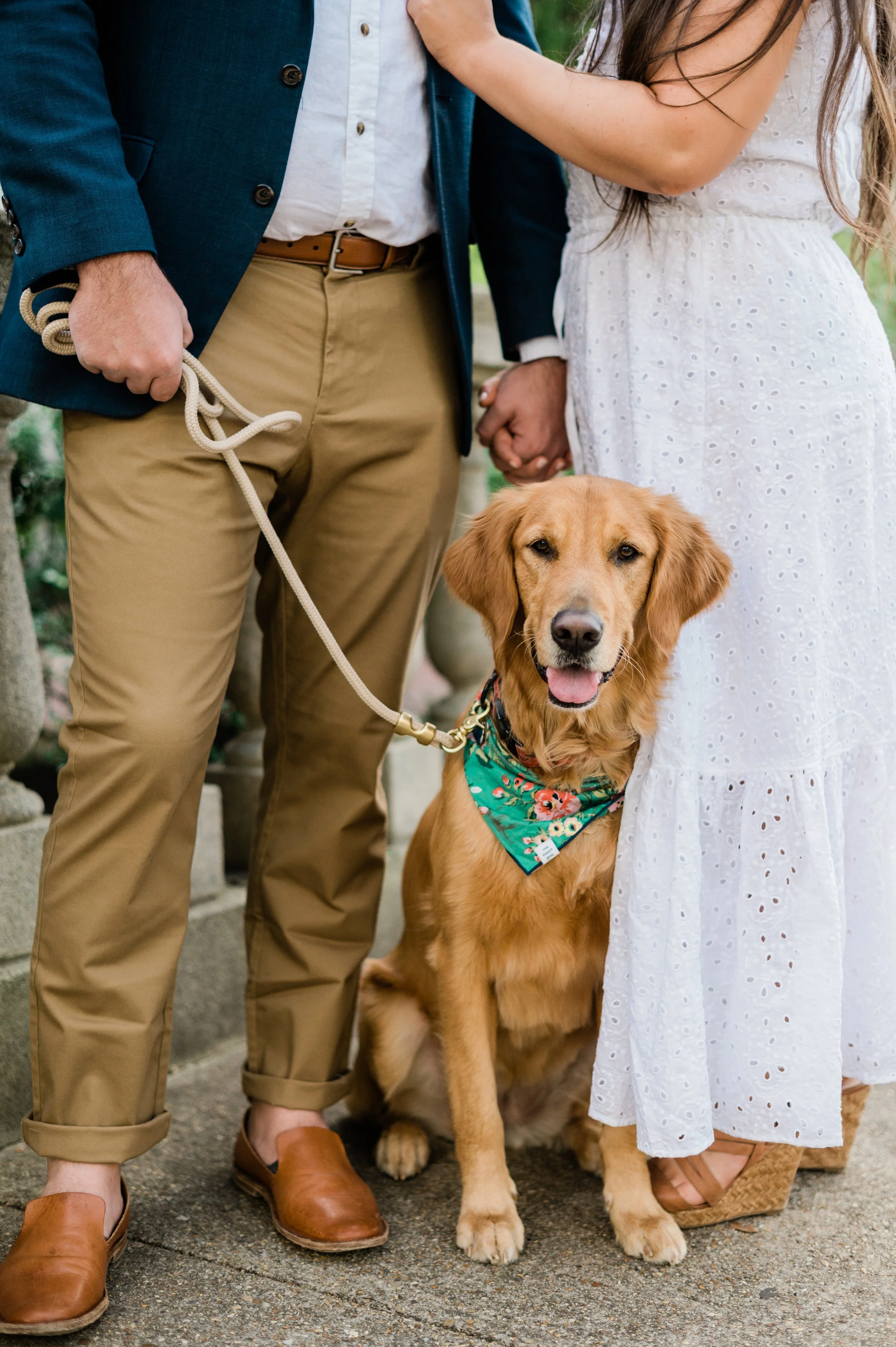 golden-retriever-engagement-photos.jpg