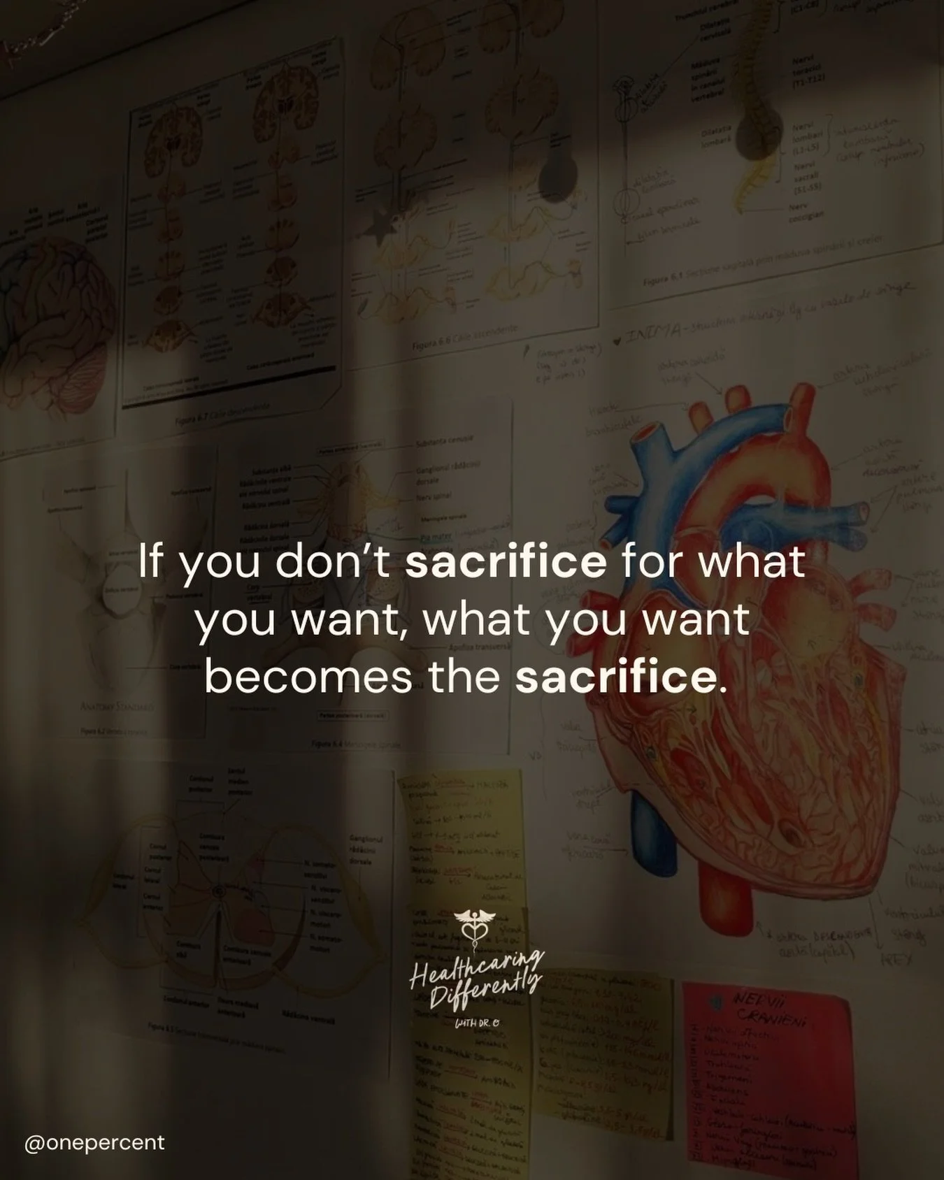 We know a lot of you are in the hardest stretch of exam season right now.

This is the moment to sacrifice the scroll for the syllabus. Sacrifice the For You Page for focused pages. One more hour of real work, one less distraction.

Trade a little co