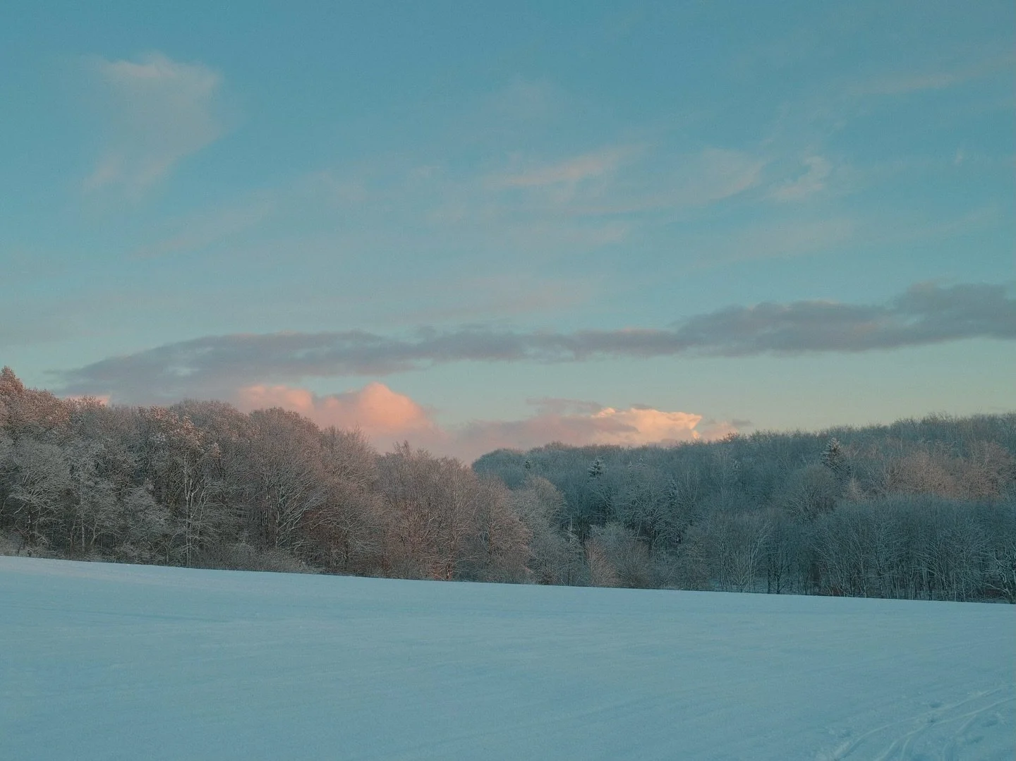 Sudden winter landscapes here, last week was autumn colored.

📷 @fujifilmnordic X100VI
.
.
.
.
#mortenkoldby #wonderfulmachine #newwork #works #selfassignedwork #thisaintartschool #makemeseemag #contemporaryphotography #documentingspace #newtopograp