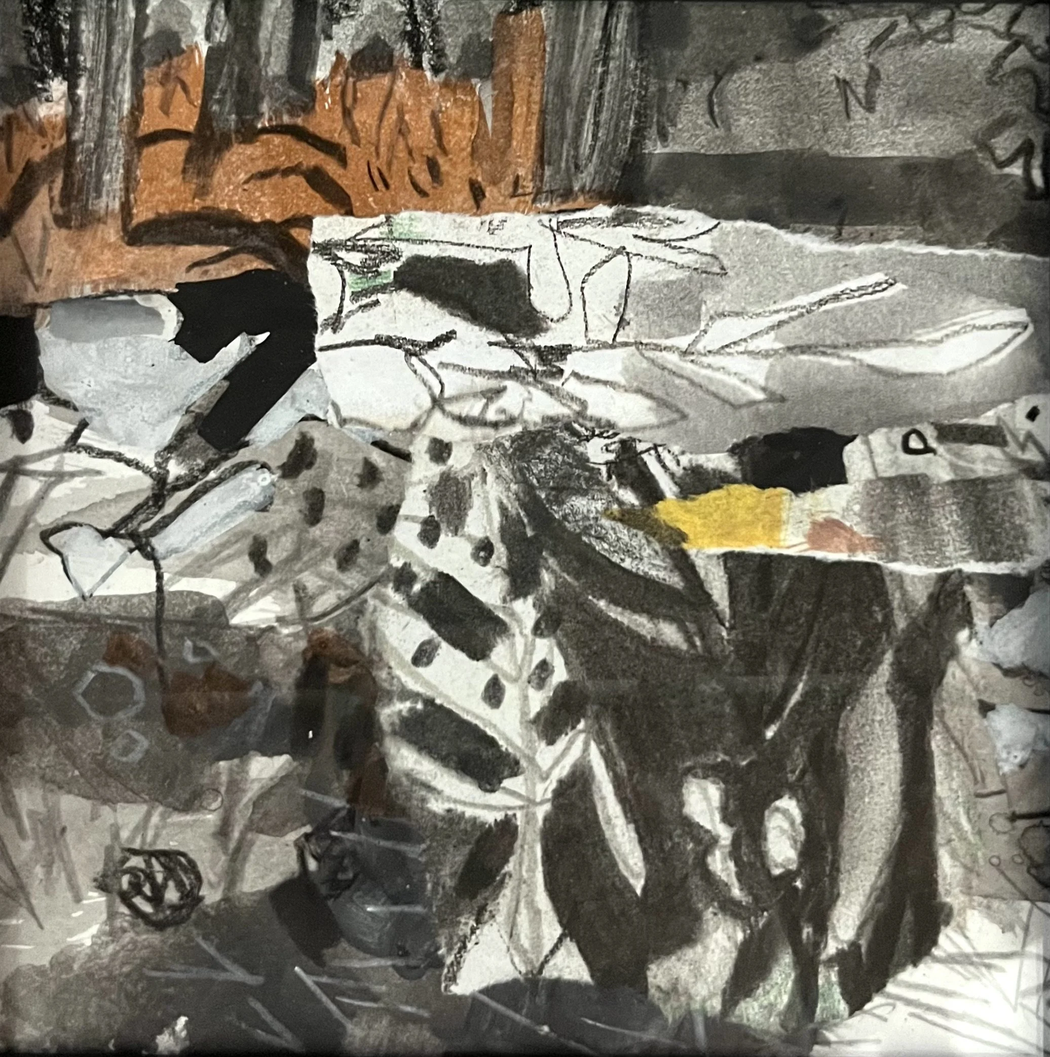 Fieldwork 2, mixed media, 7.5x7.5 , framed .jpeg