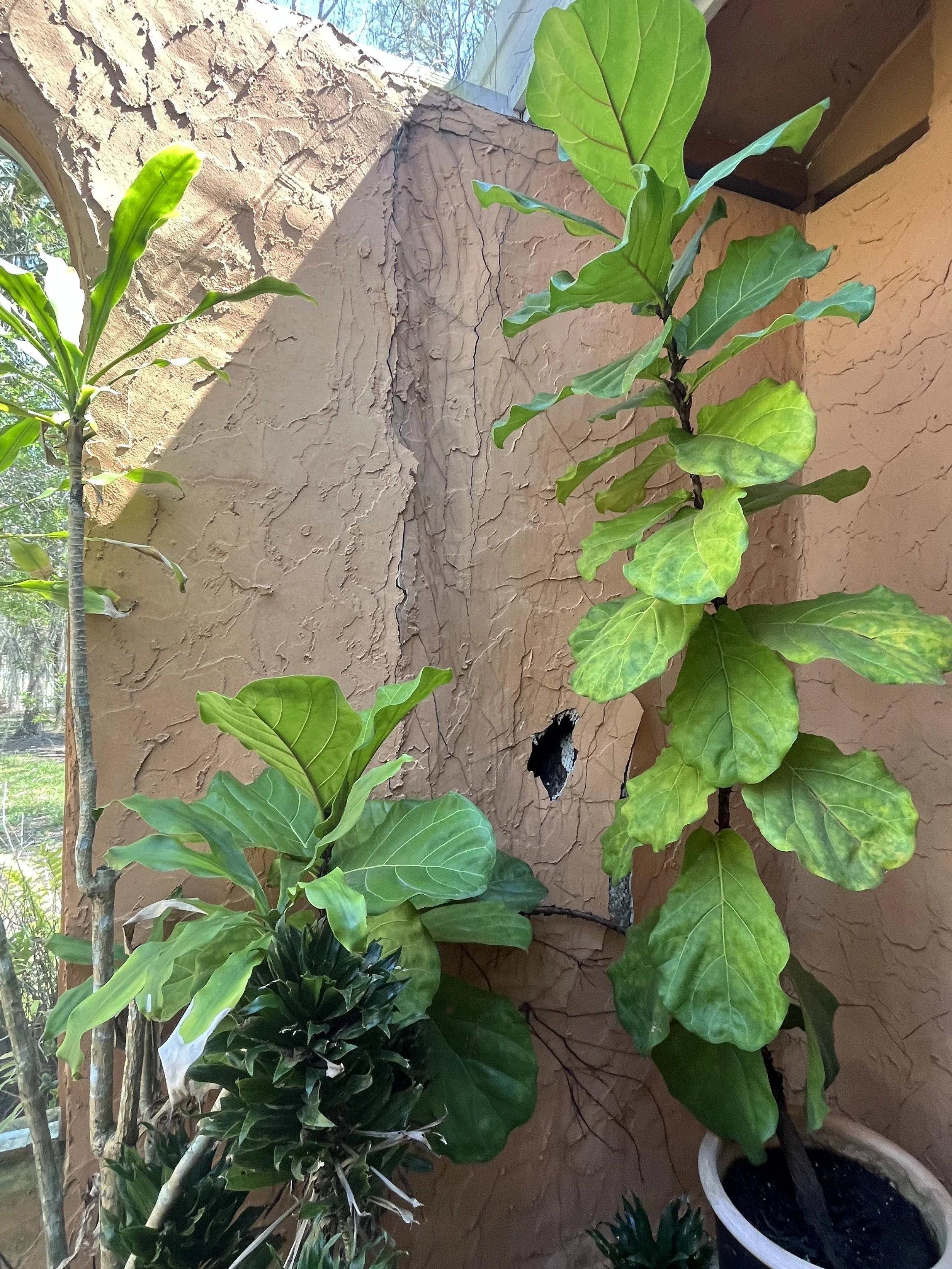 Stucco Repair