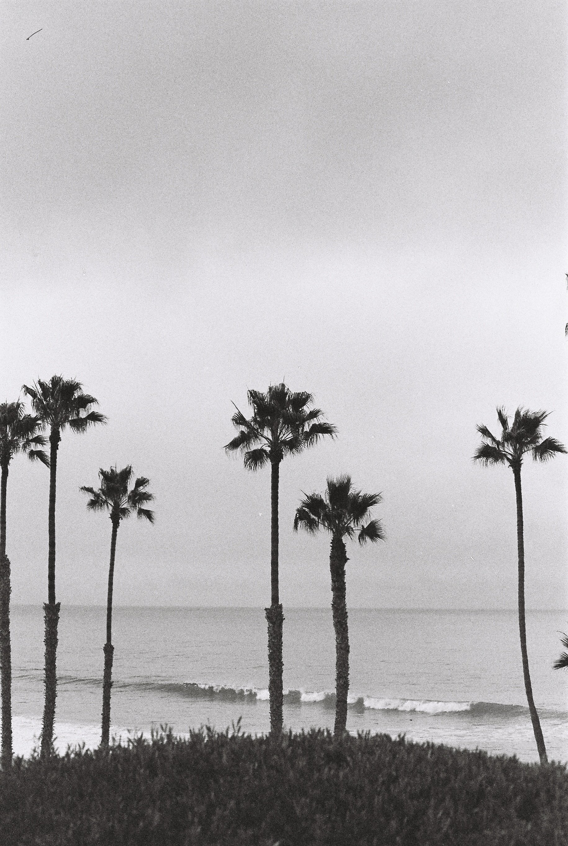 ADMWLKR_FilmFroth_Jan2024_HP5_001.jpg