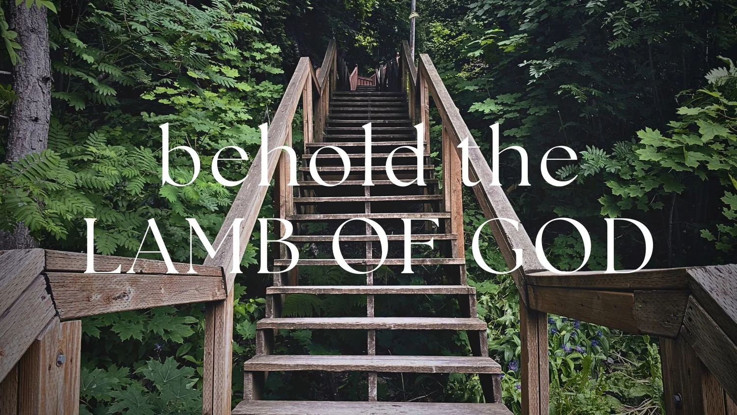 Behold the Lamb of God episode artwork