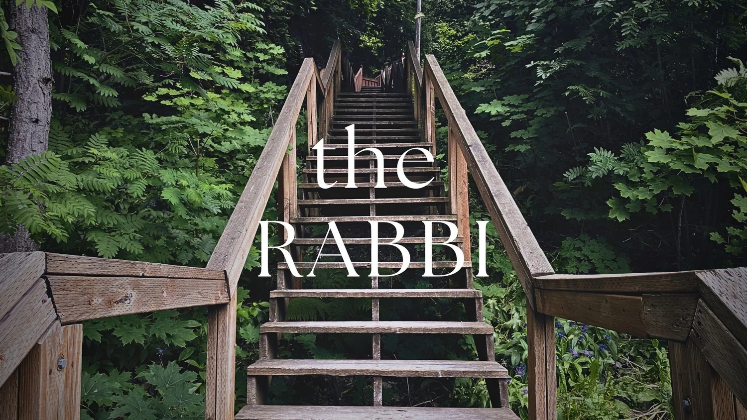 The Rabbi episode artwork
