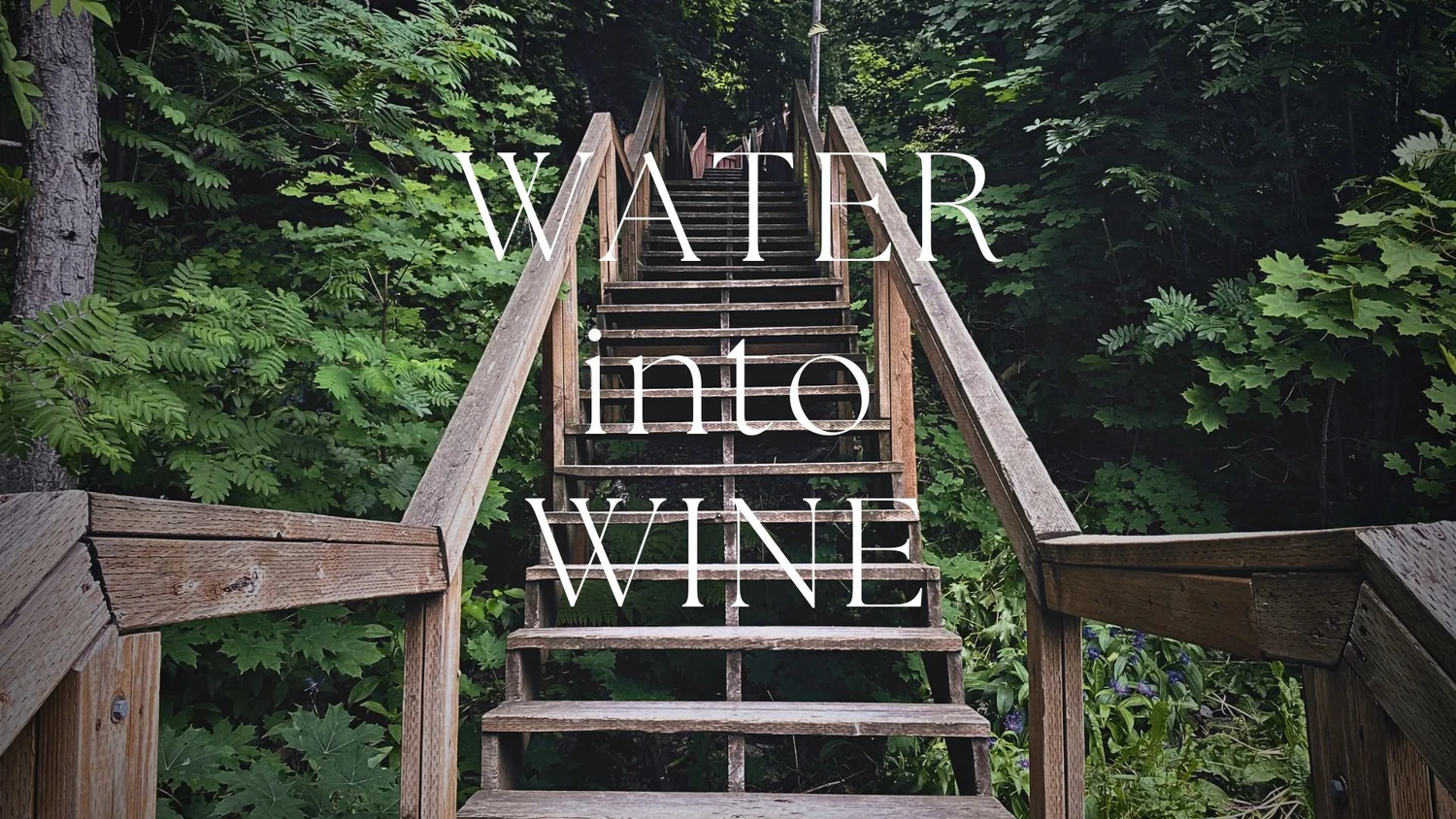 Water Into Wine episode artwork