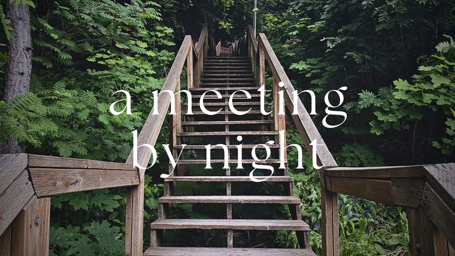 A Meeting by Night episode artwork