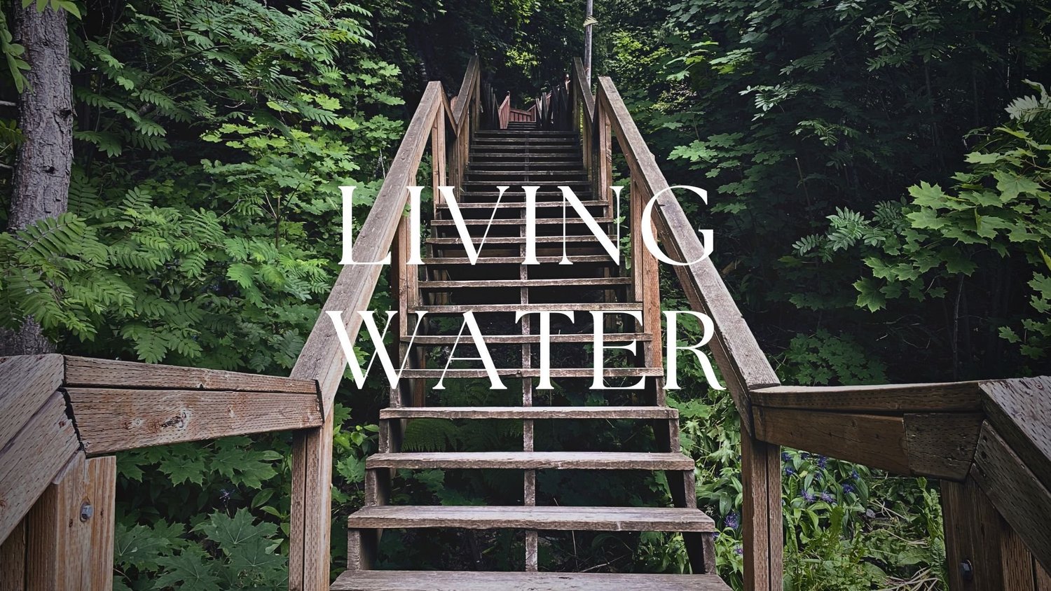 Living Water episode artwork